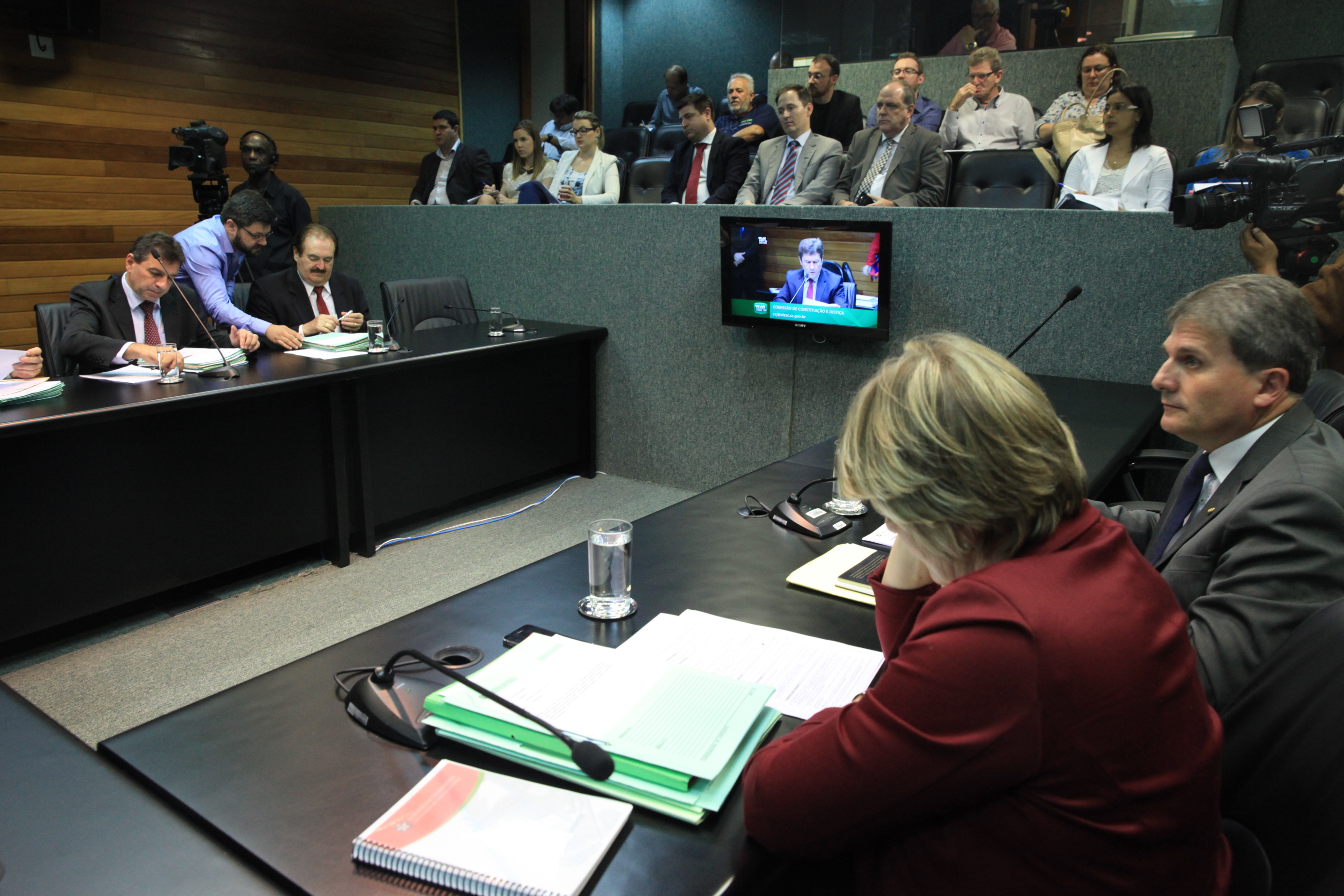 Comissão de Constituição e Justiça.