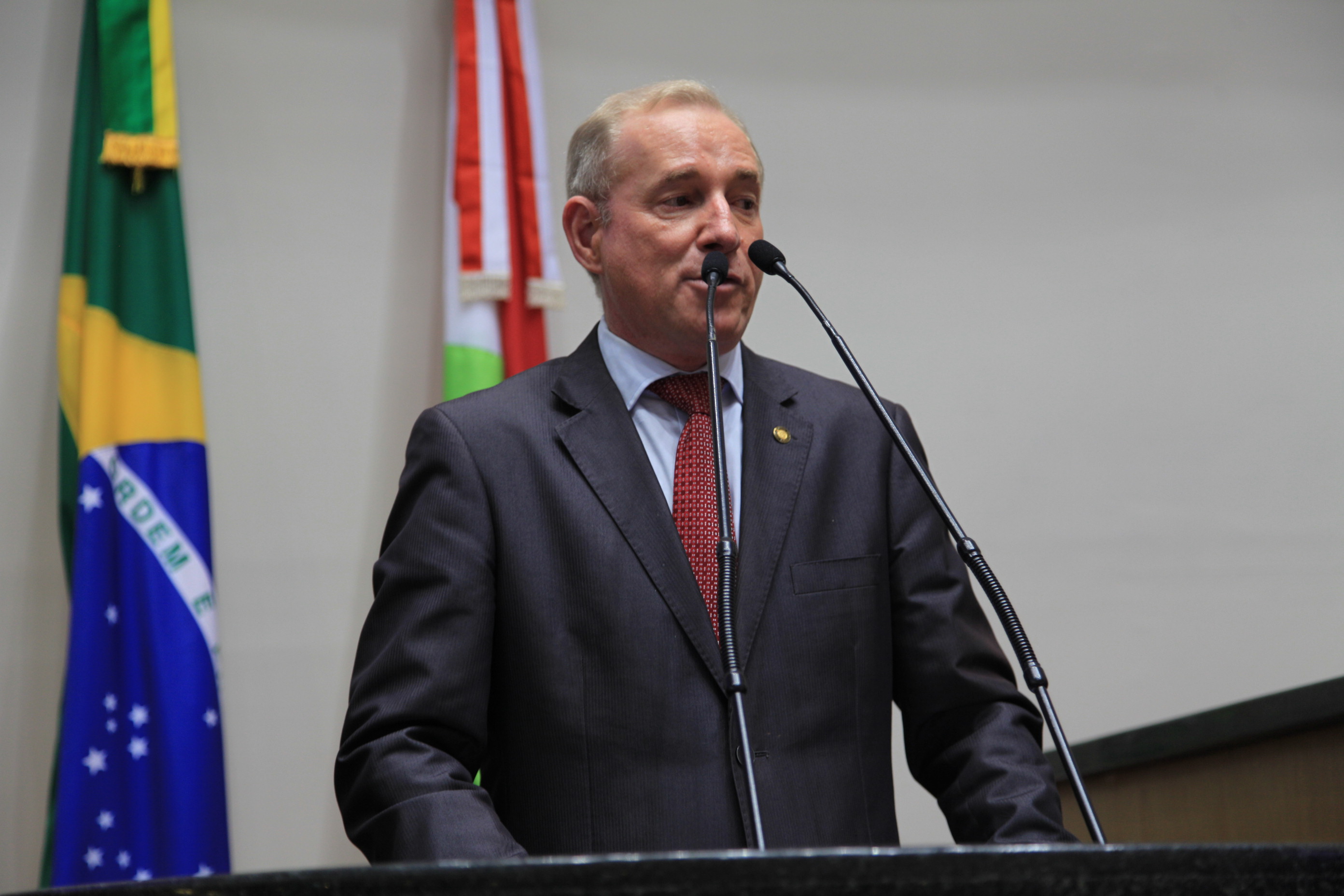 Sessão Ordinária. Deputado Aldo Schneider (PMDB)  -  Foto: Solon Soares