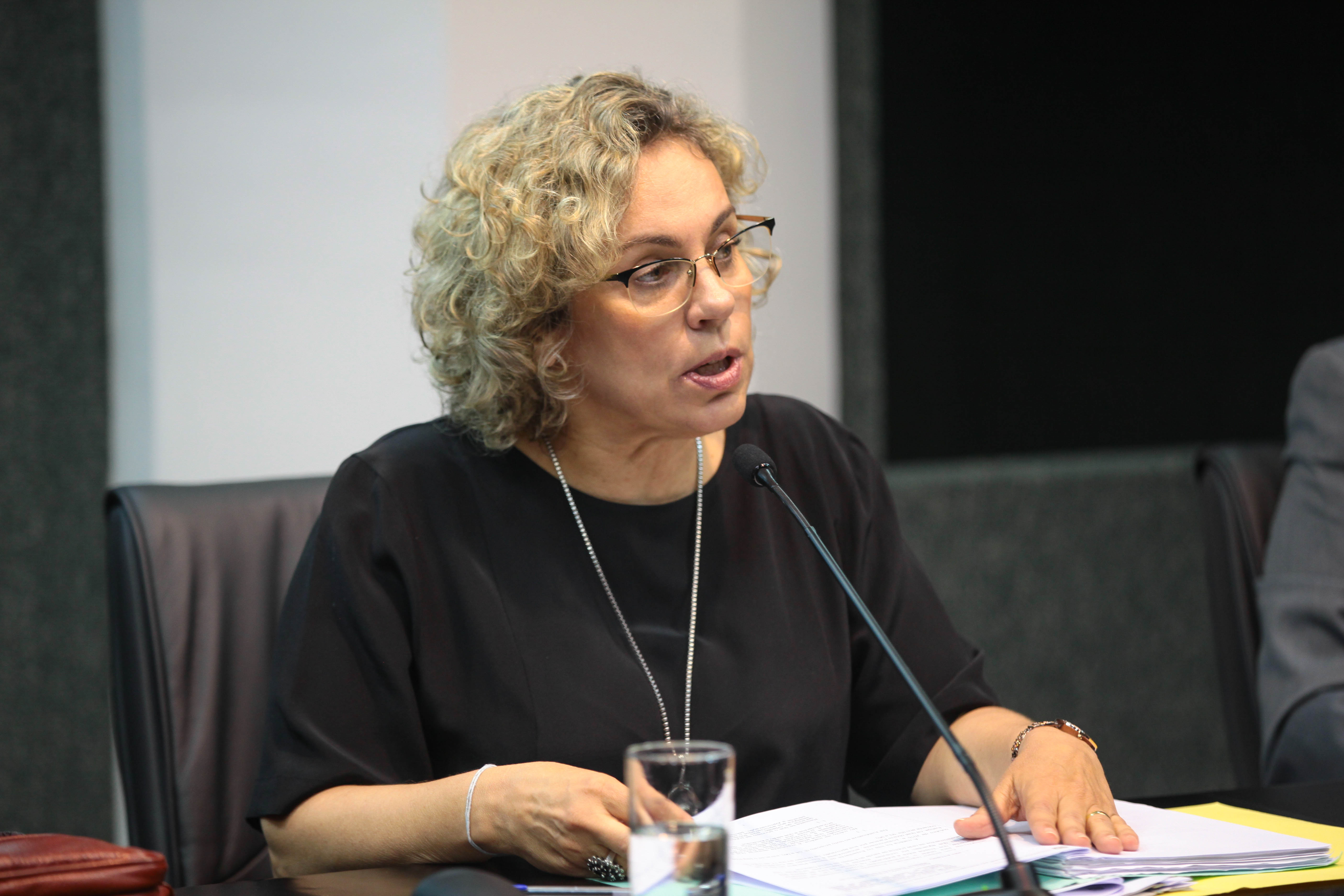 Deputada Ana Paula Lima (PT) - Comissão de Saúde
