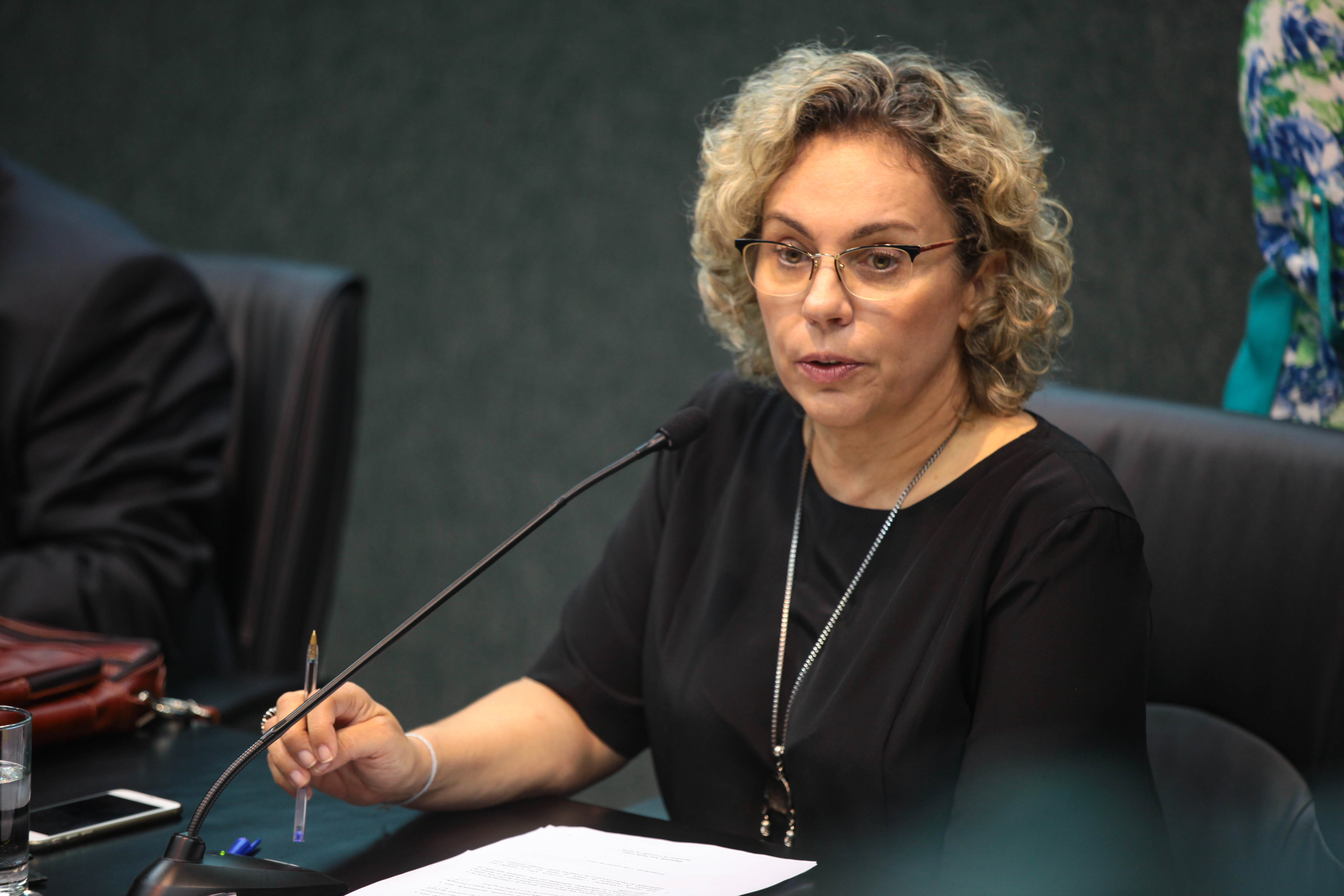 Deputada Ana Paula Lima (PT) - Comissão de Saúde