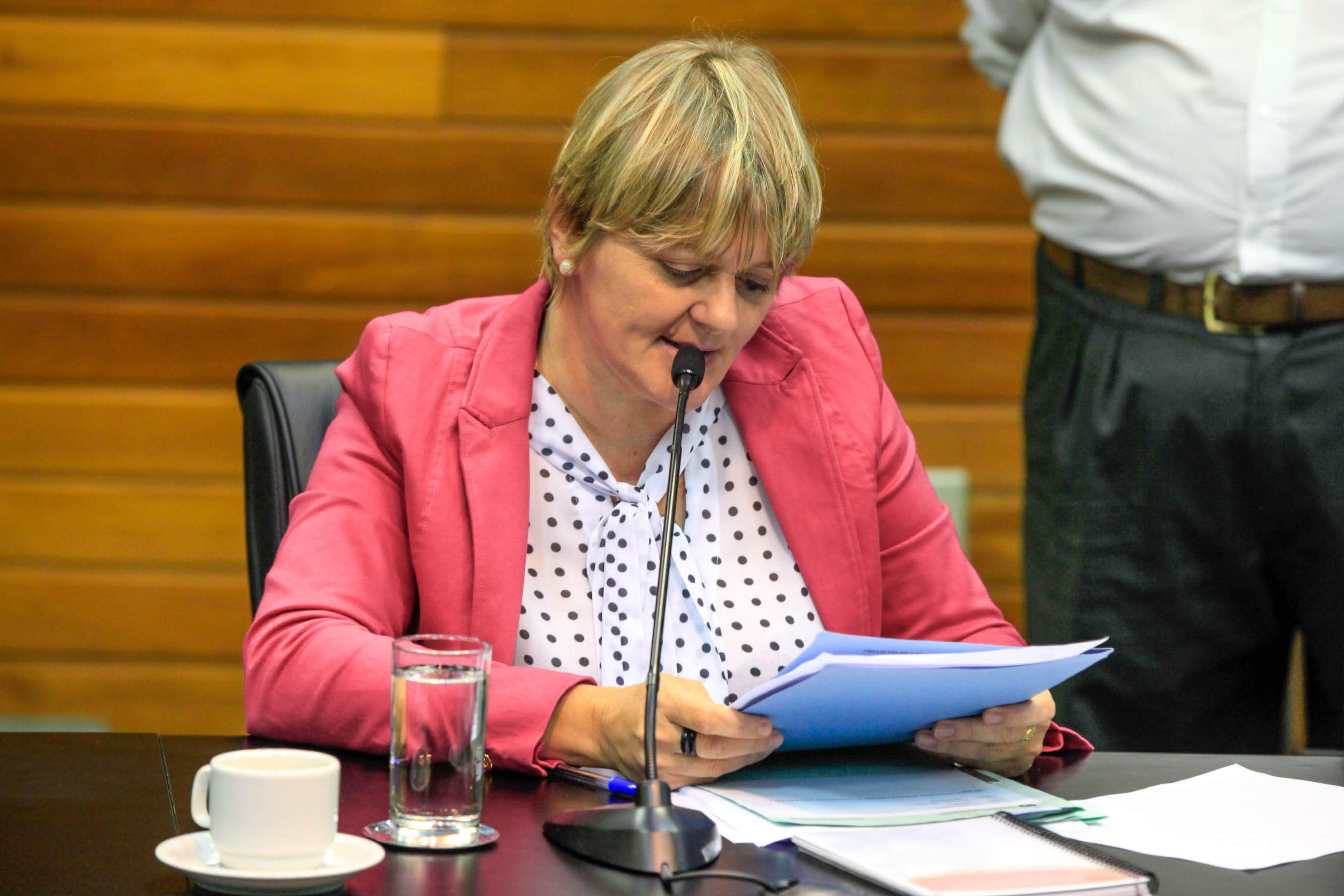Deputada Luciane Carminatti (PT) - Comissão de Constituição e Justiça