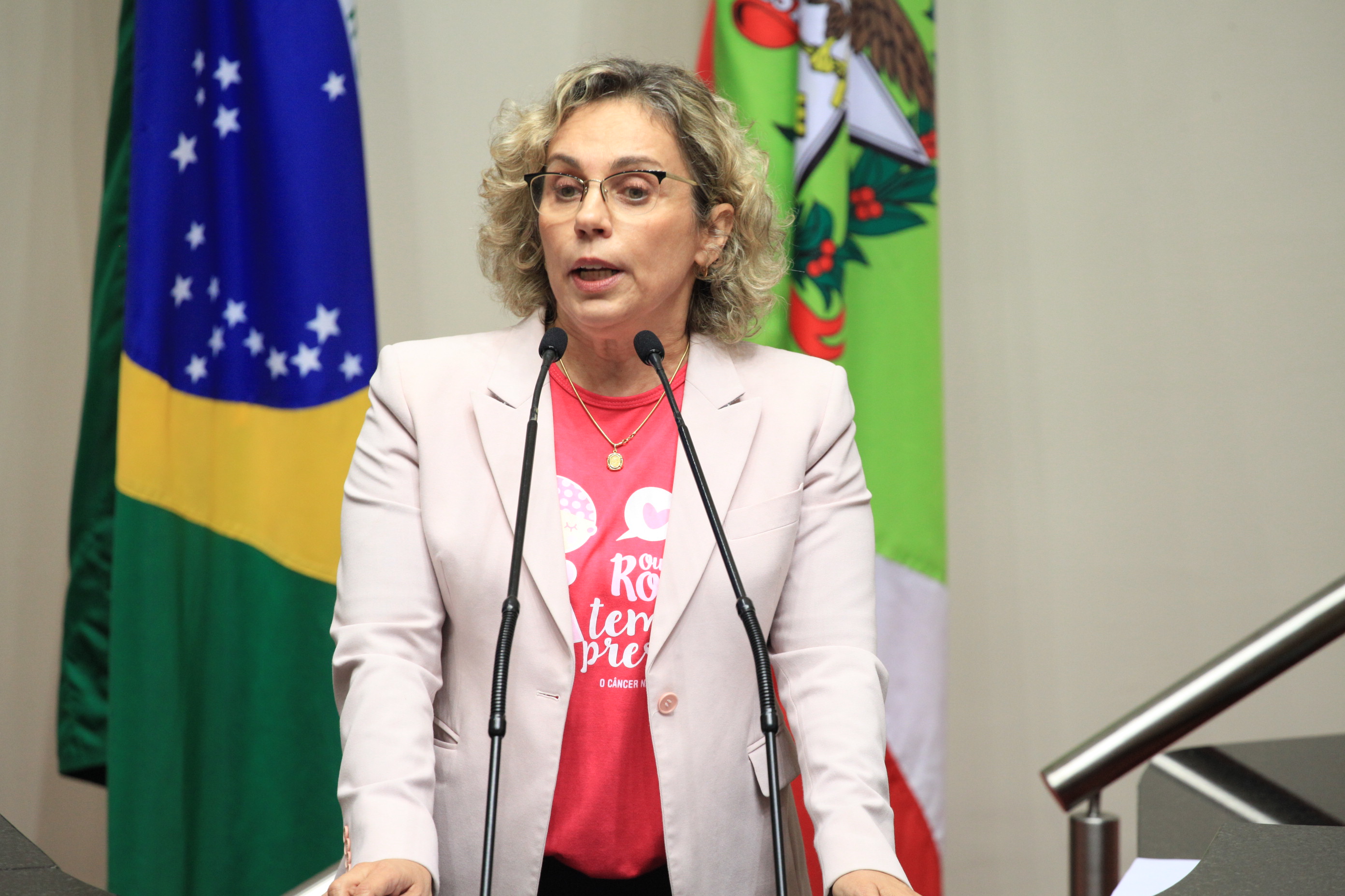 Votação da PEC da Saúde.