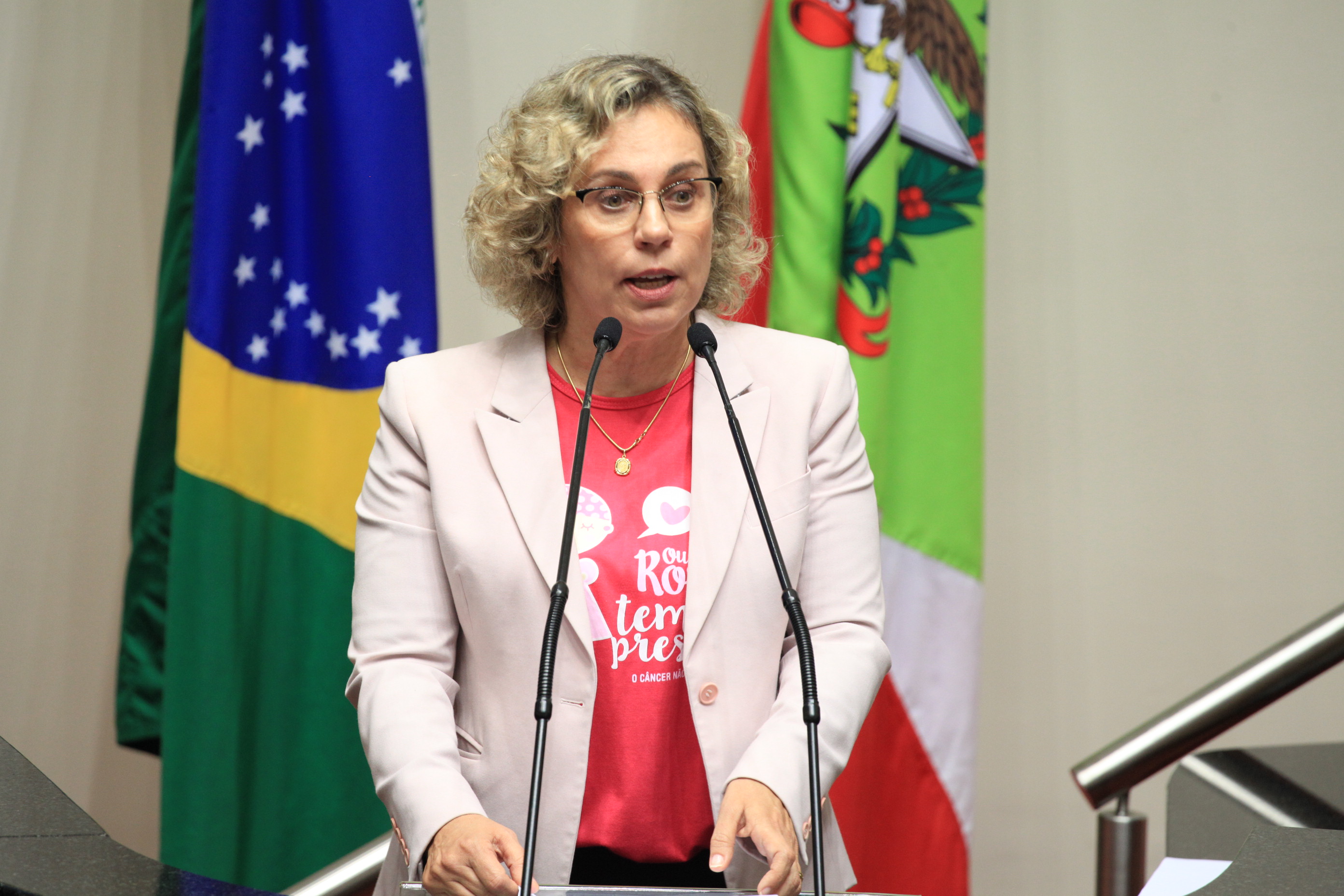 Votação da PEC da Saúde.