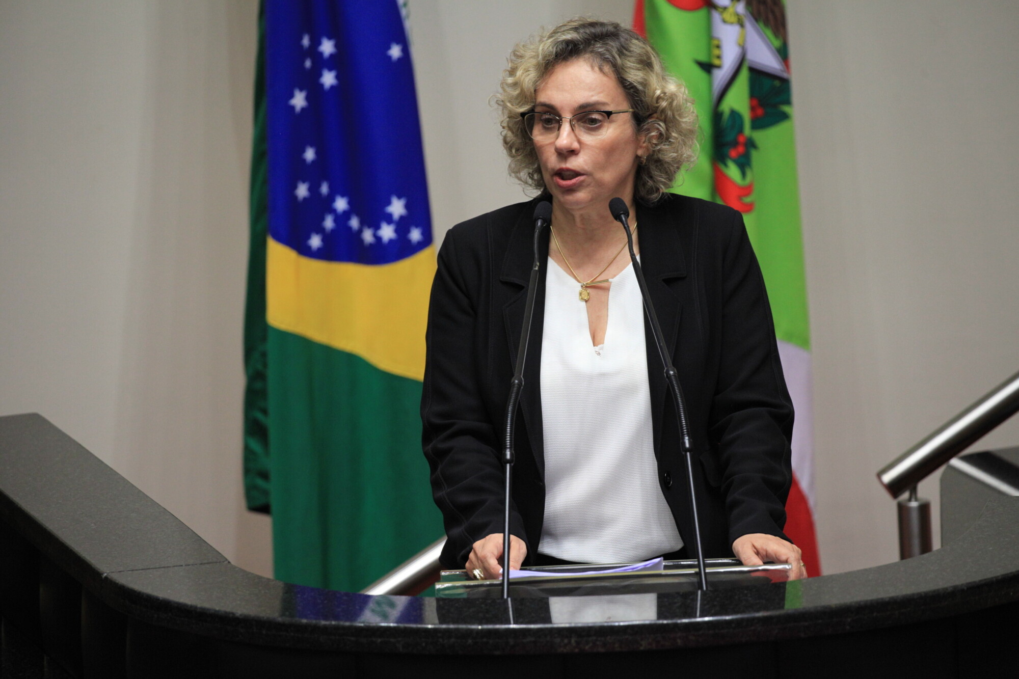 Deputada Ana Paula Lima