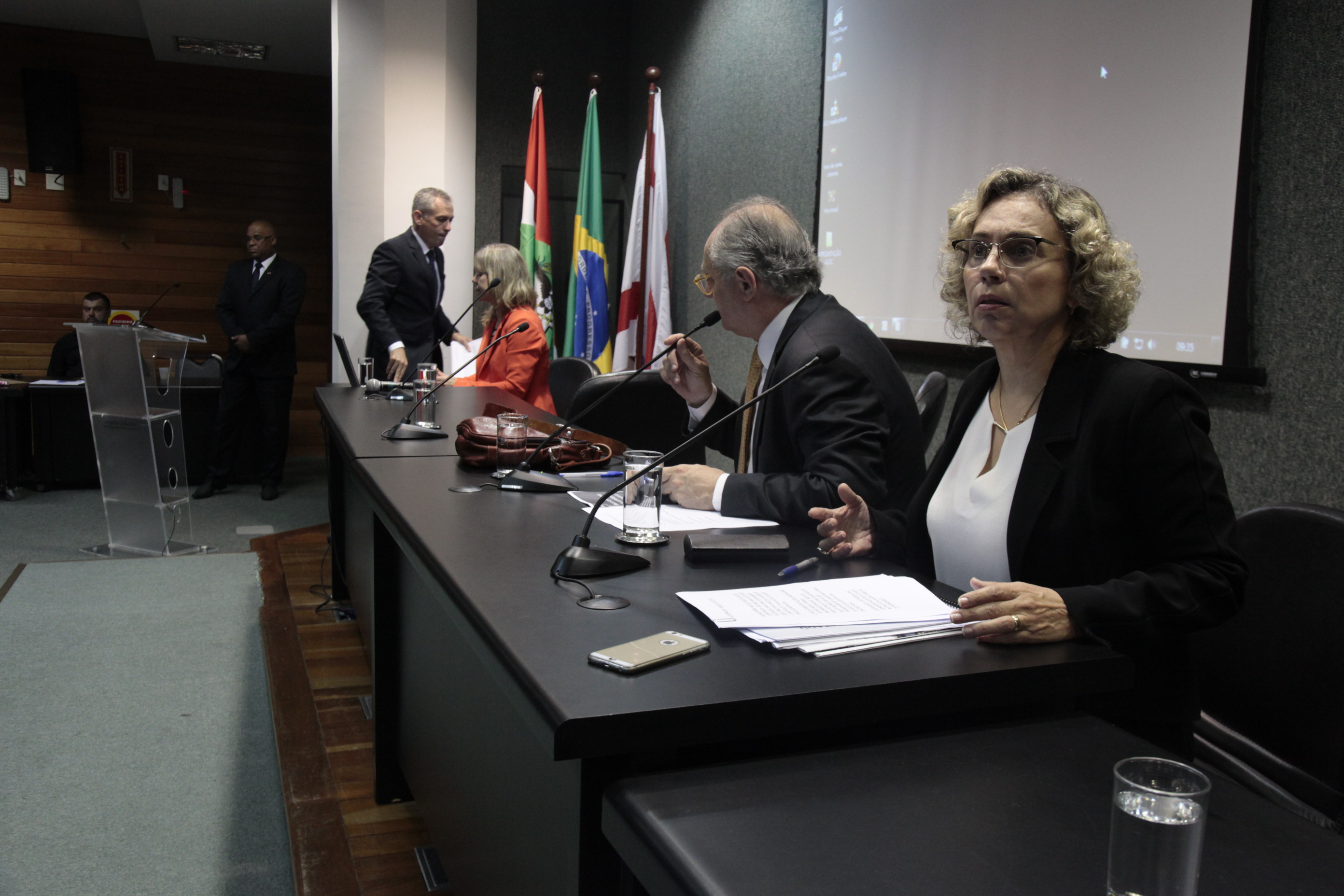 Prestação de Contas do 2º Quadrimestre da SES