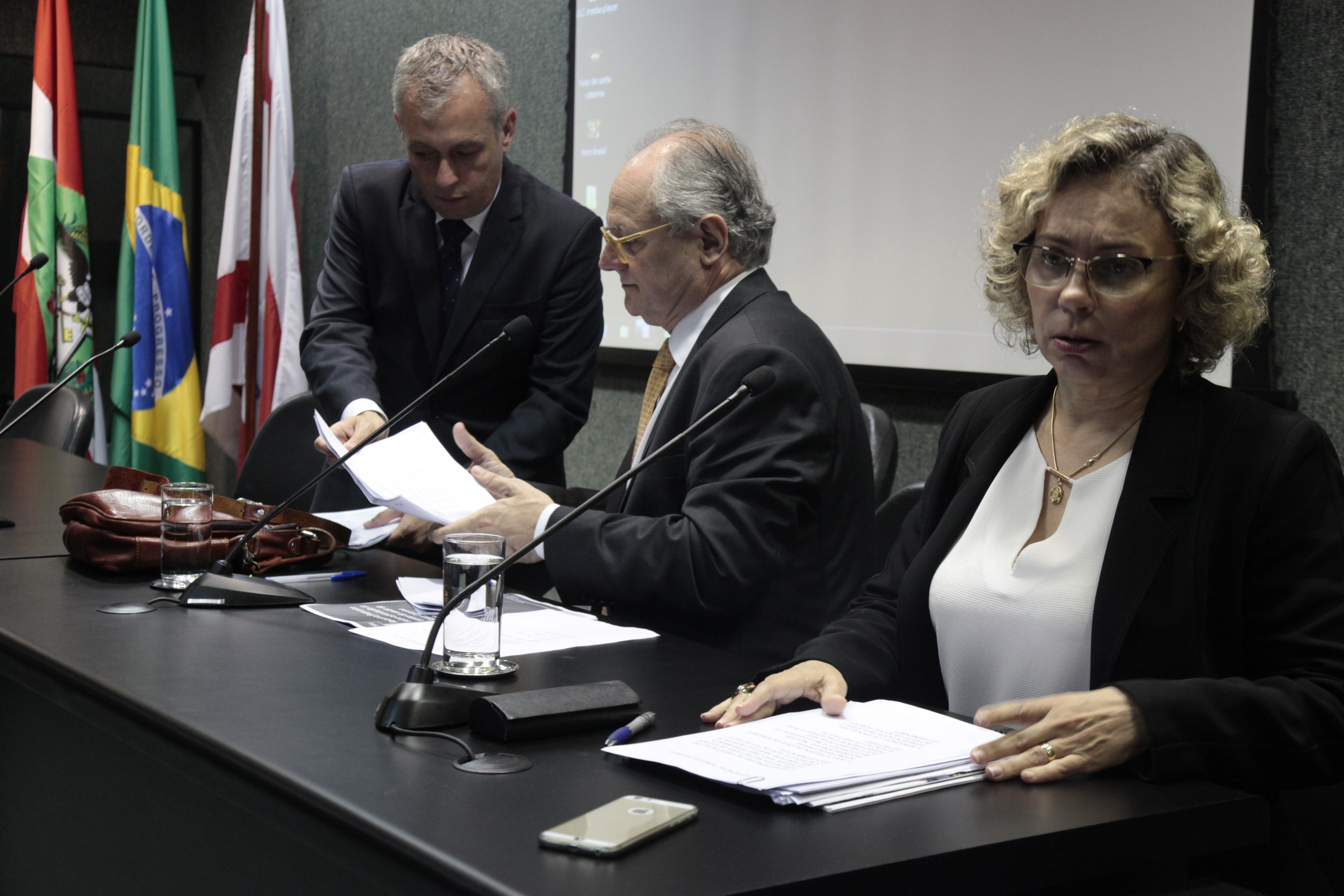 Prestação de Contas do 2º Quadrimestre da SES