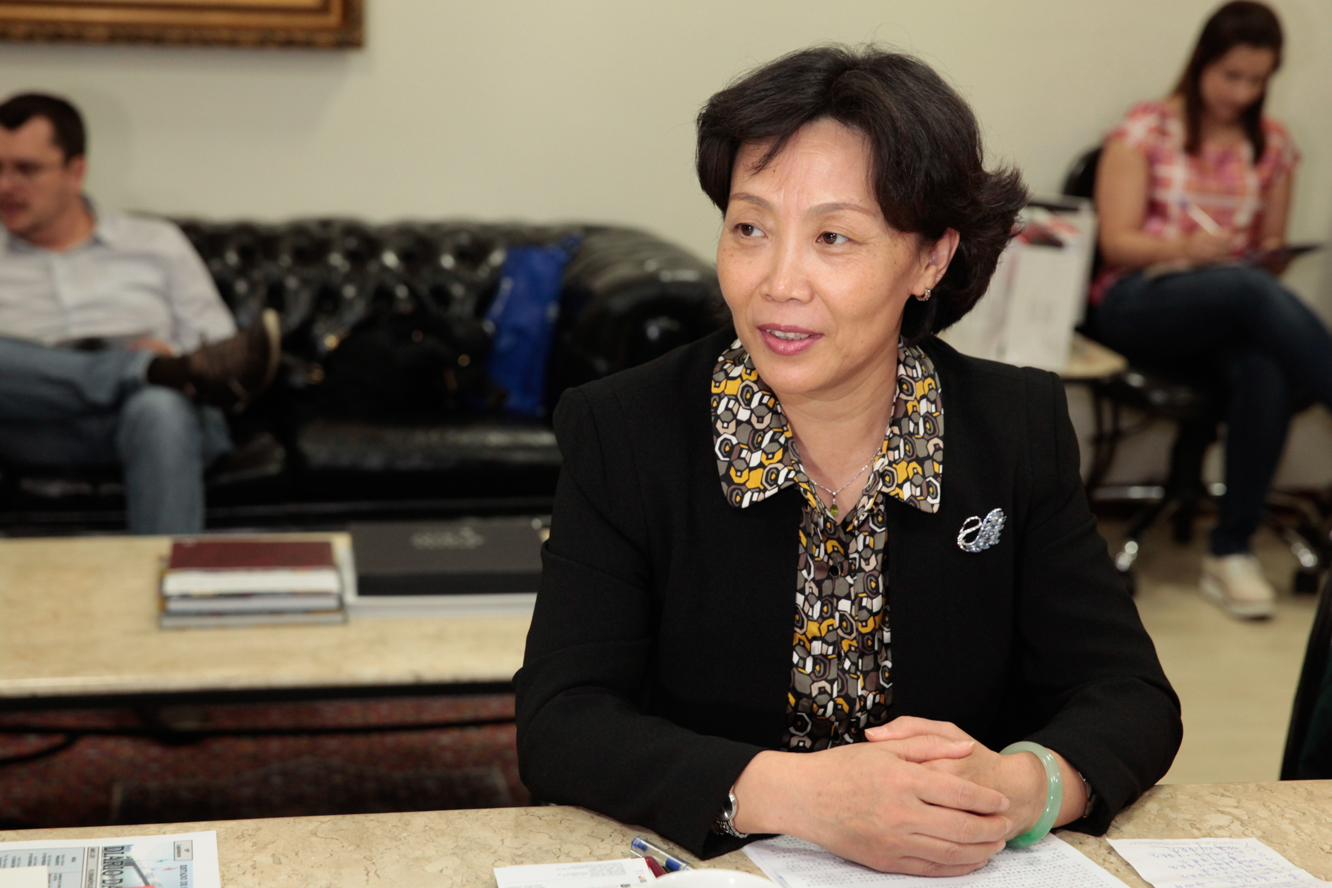 Comitiva chinesa visita parlamento. Ran LiPing, Diretora Geral de Assuntos Internacionais da Província de Shanxi.