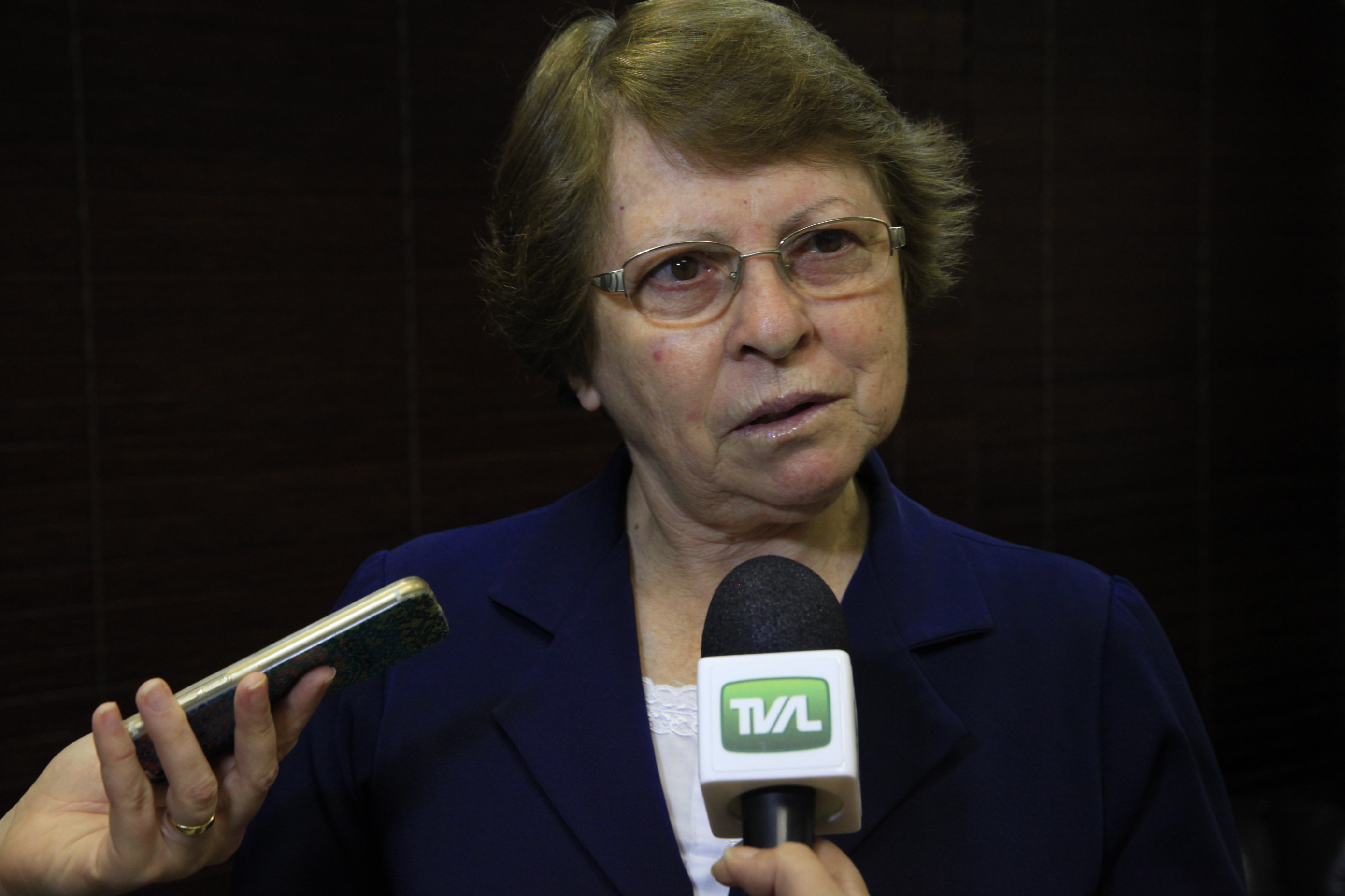 Anna Tomelin - diretora do Santuário Santa Paulina. Deputado Aldo Schneider Promove Encontro entre Presidentes de Entidades.