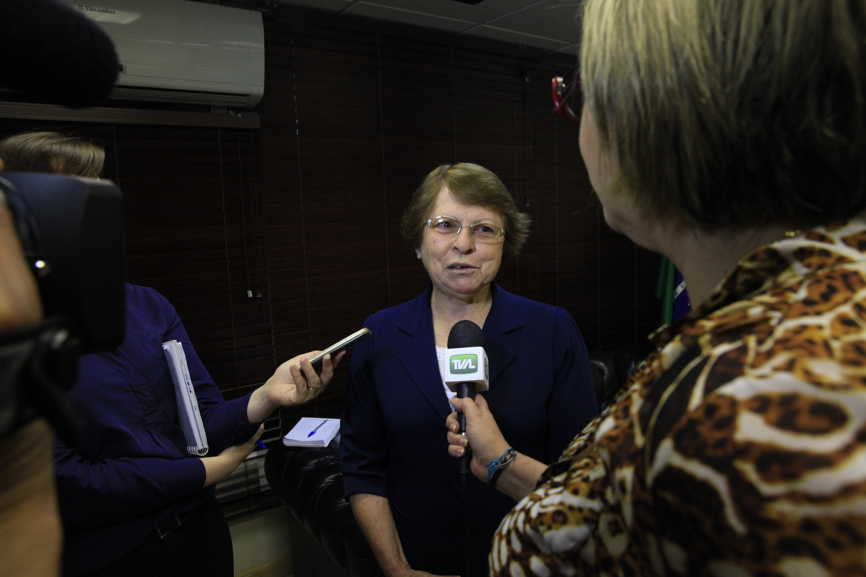 Anna Tomelin - diretora do Santuário Santa Paulina. Deputado Aldo Schneider Promove Encontro entre Presidentes de Entidades.