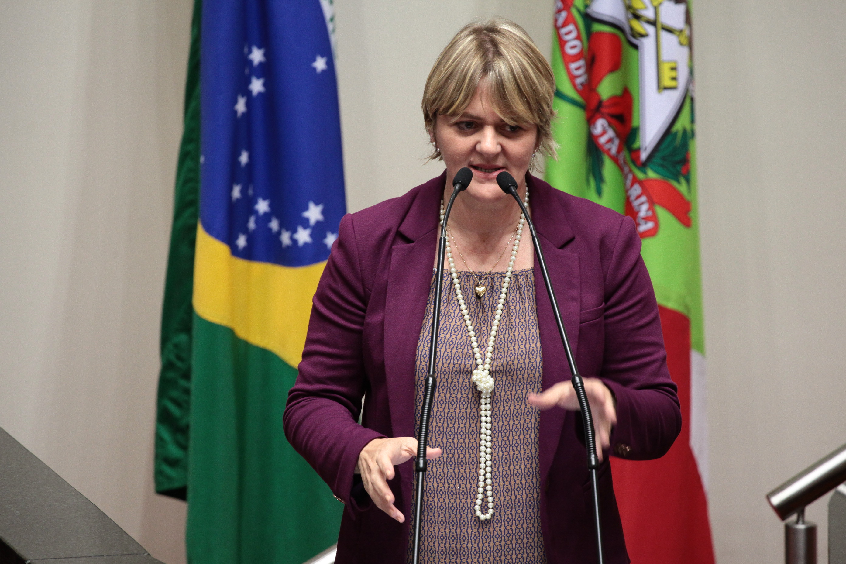 Sessão Ordinária. Deputada Luciane Carminatti (PT).