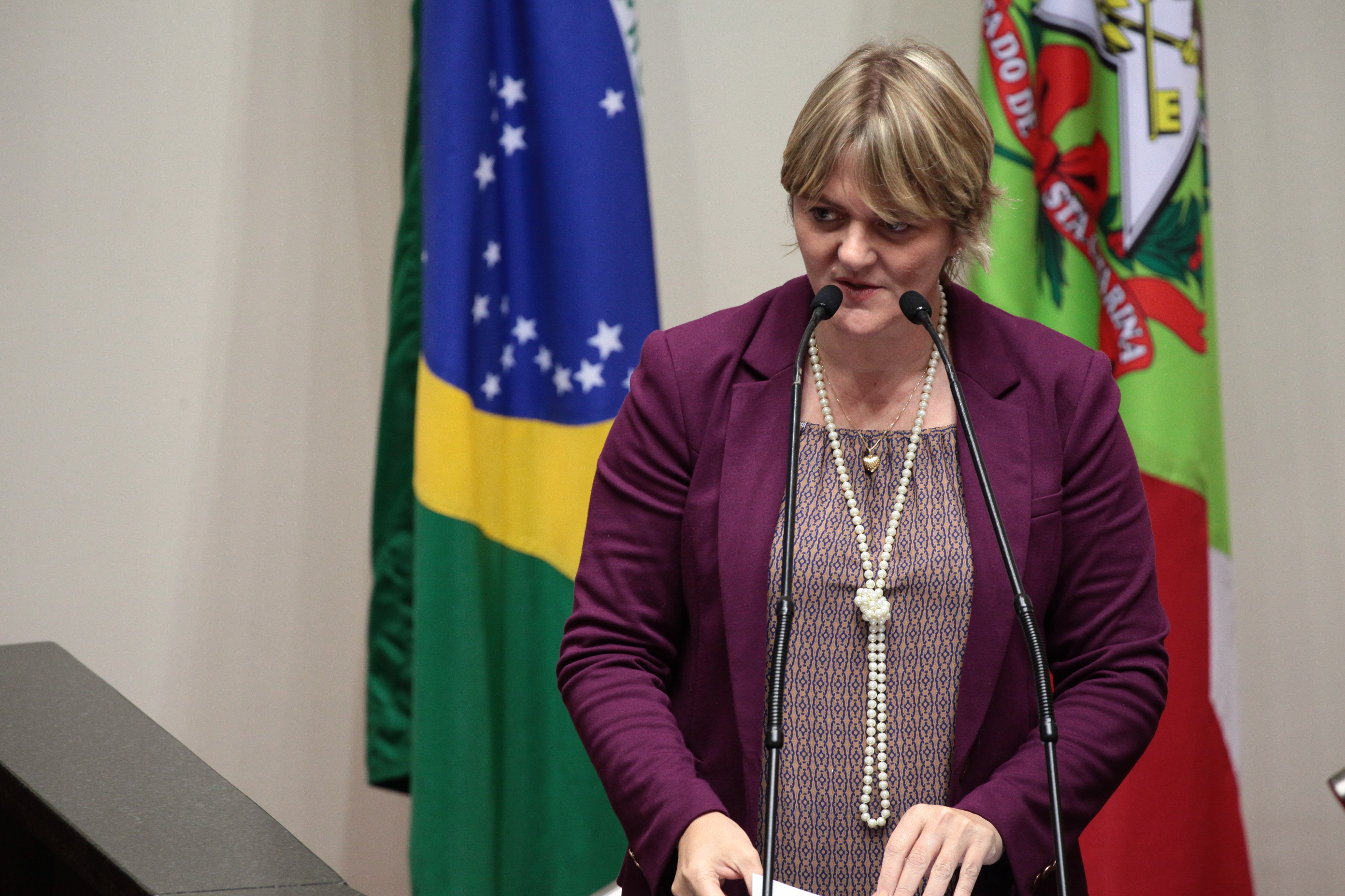 Sessão Ordinária. Deputada Luciane Carminatti (PT).