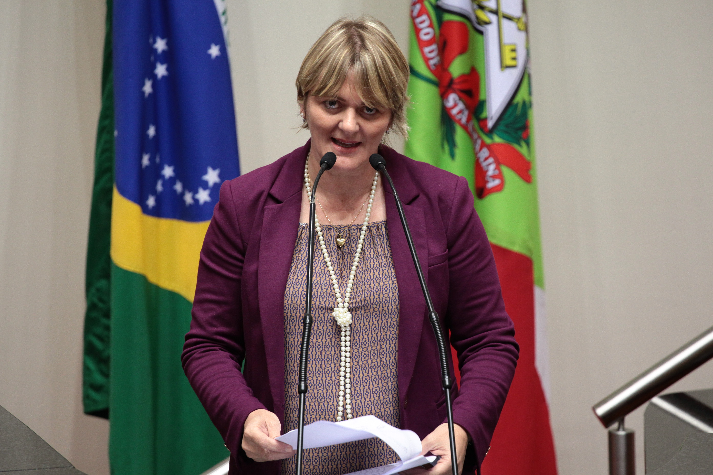 Sessão Ordinária.Deputada Luciane Carminatti (PT).