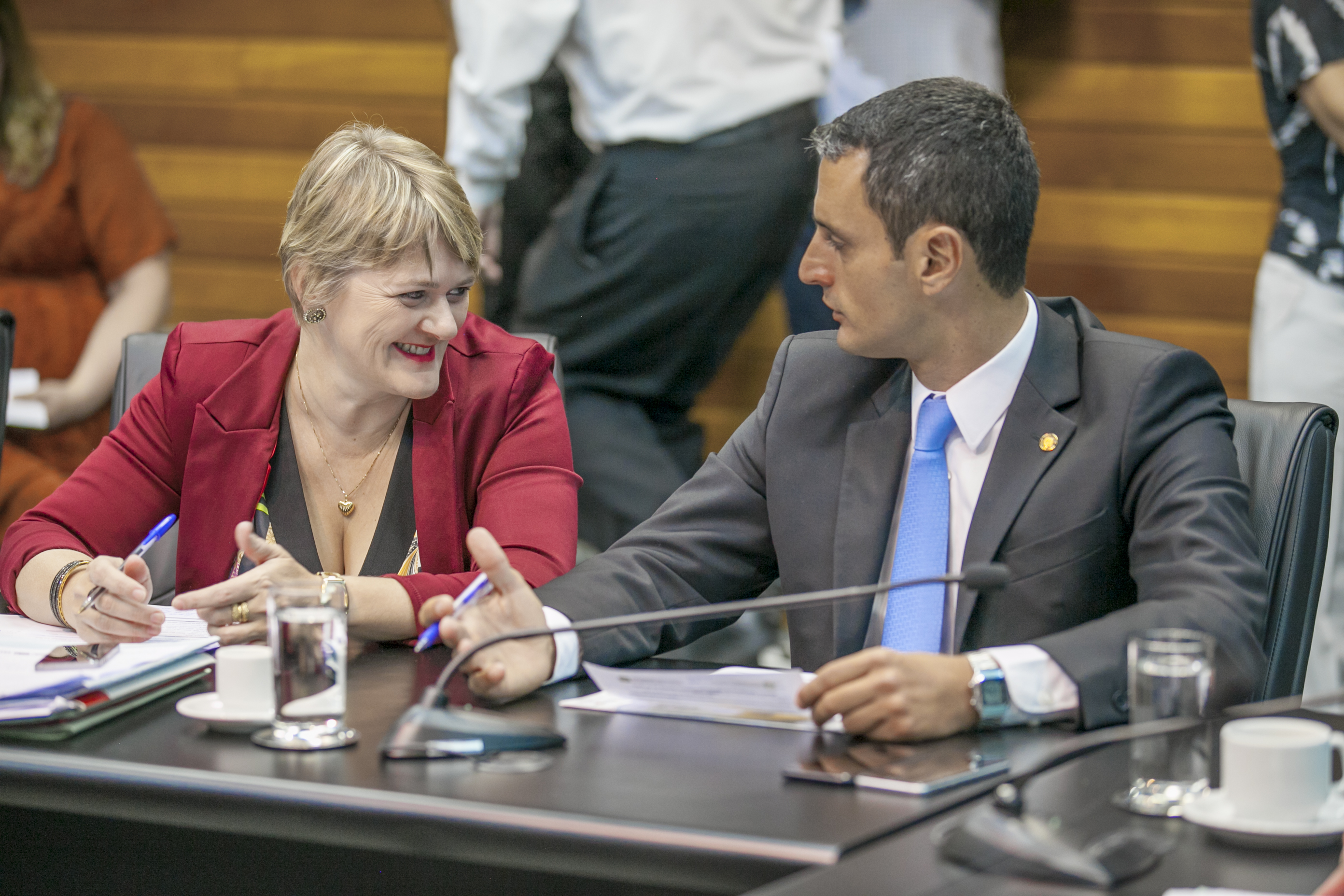 Comissão de Constituição e Justiça