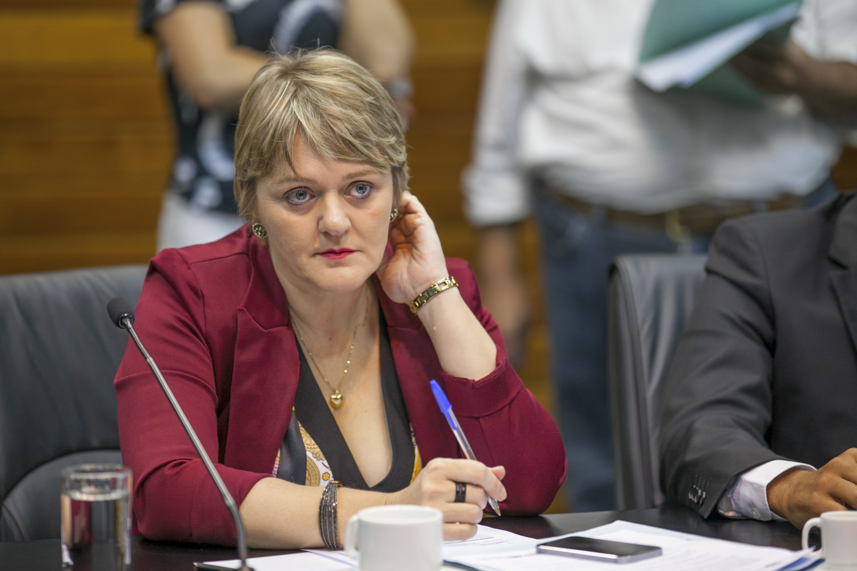 Deputada Luciane Carminatti (PT) - Comissão de Constituição e Justiça