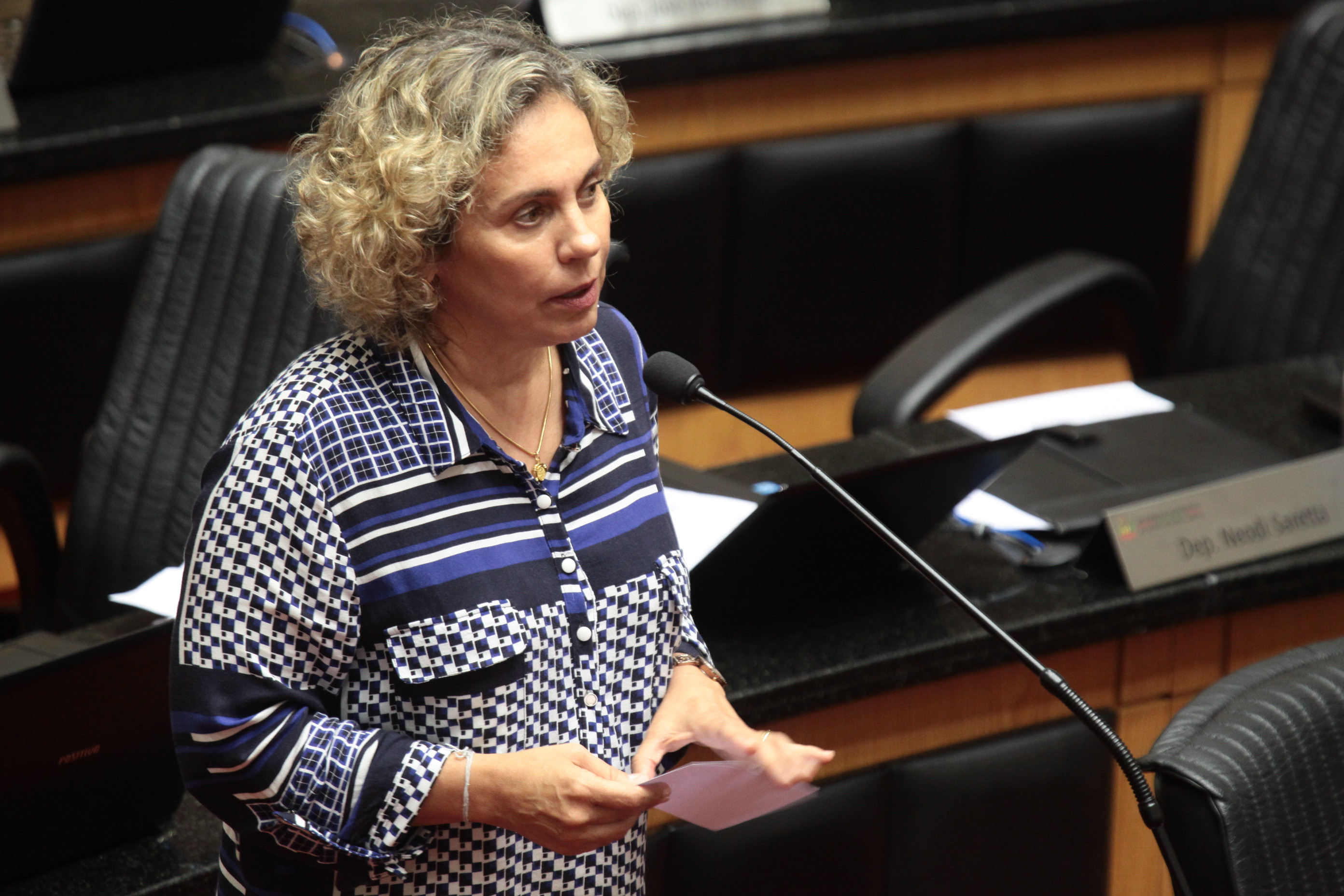 Sessão Ordinária. Deputada Ana Paula Lima (PT).