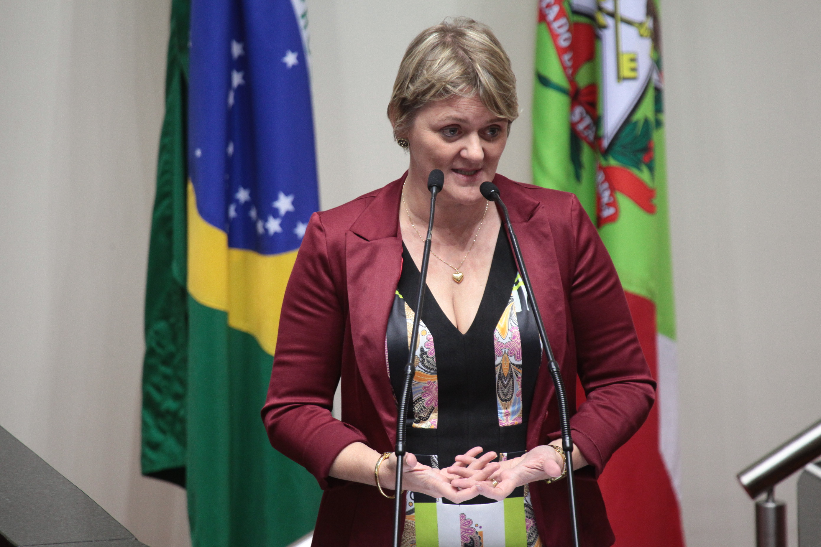 Sessão Ordinária. Deputada Luciane Carminatti (PT).
