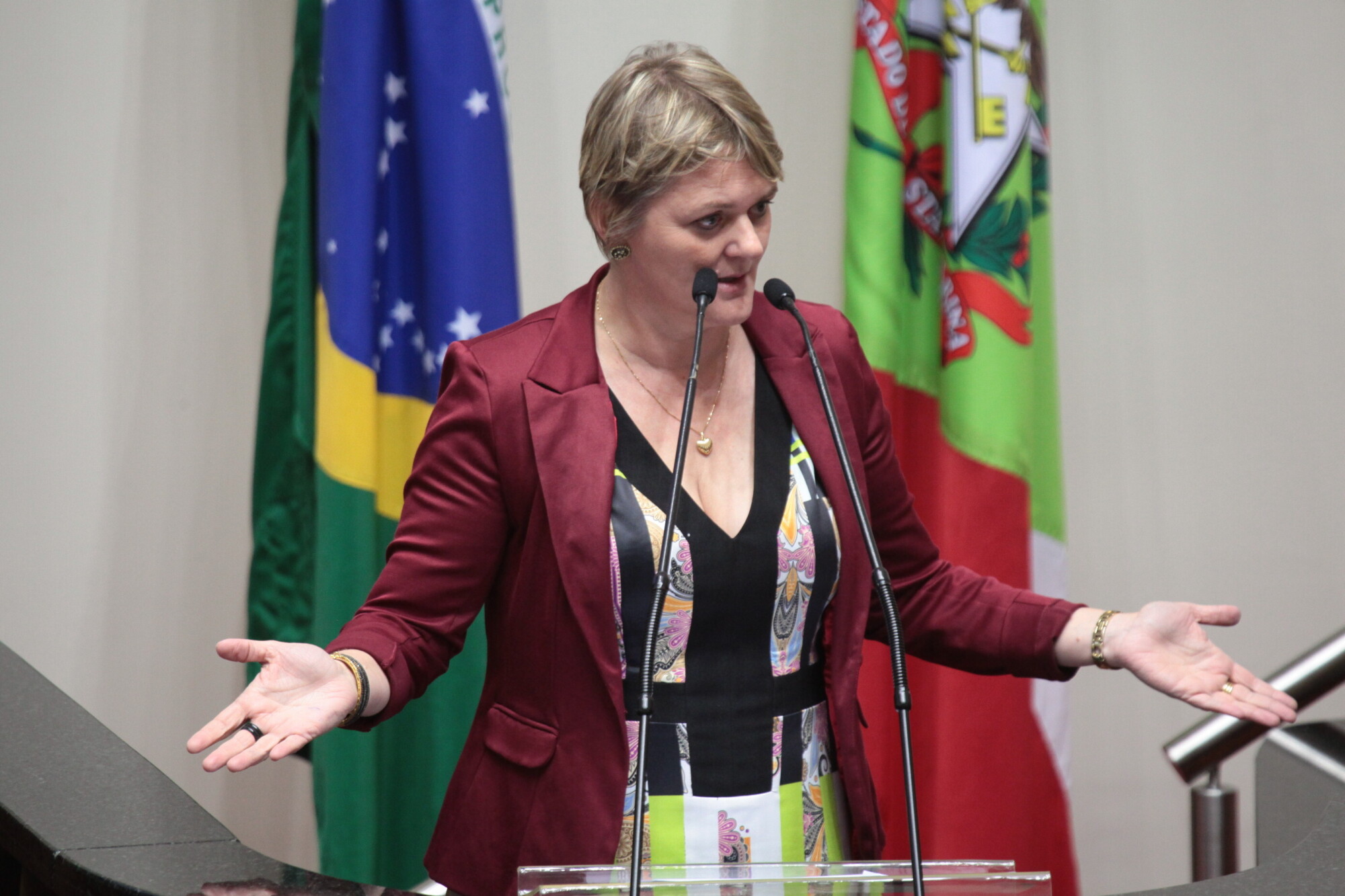 Deputada Luciane Carminatti