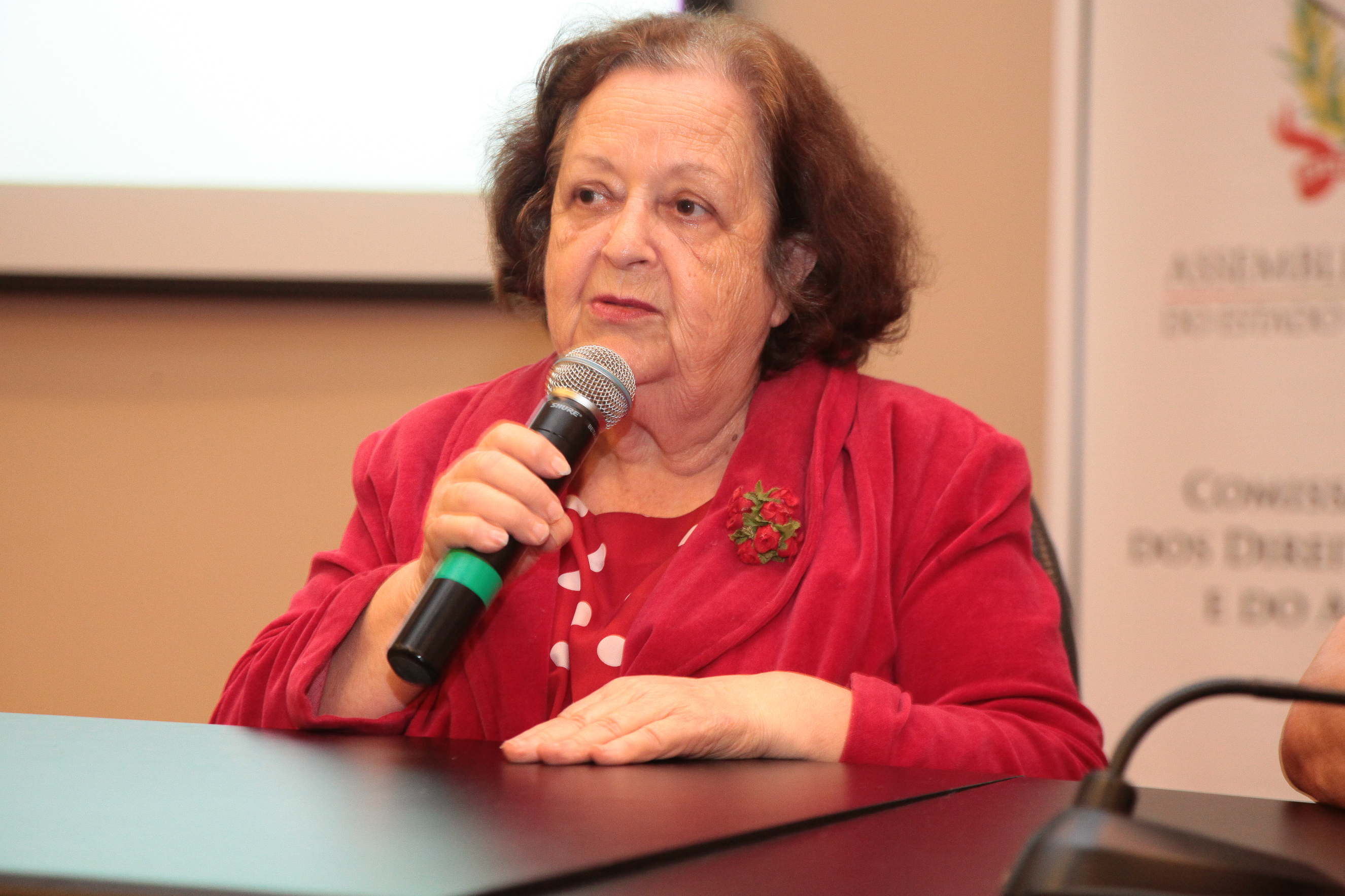 IIº Seminário Estadual de Práticas Exitosas na área da criança e do adolescente.