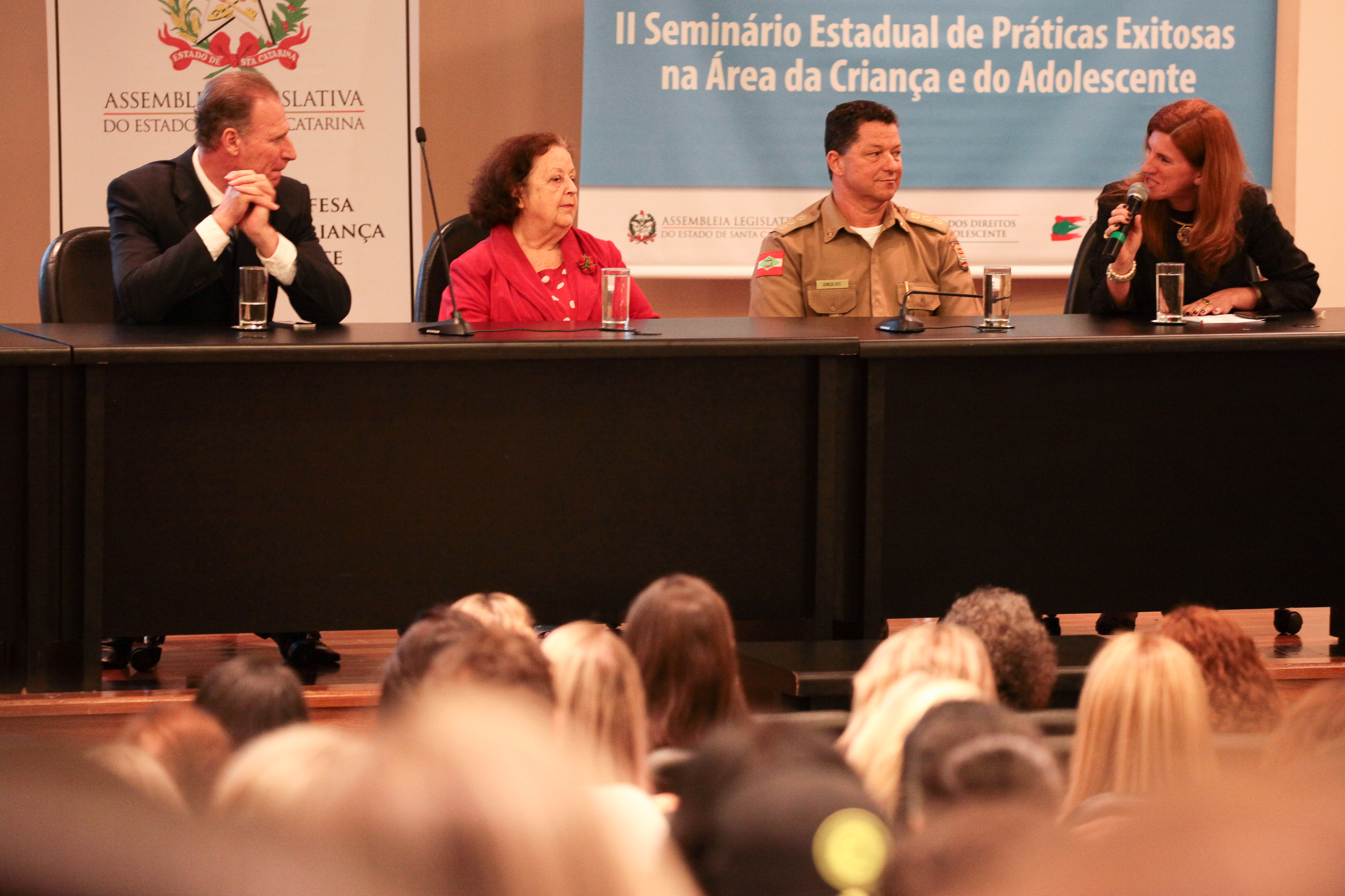 IIº Seminário Estadual de Práticas Exitosas na área da criança e do adolescente.