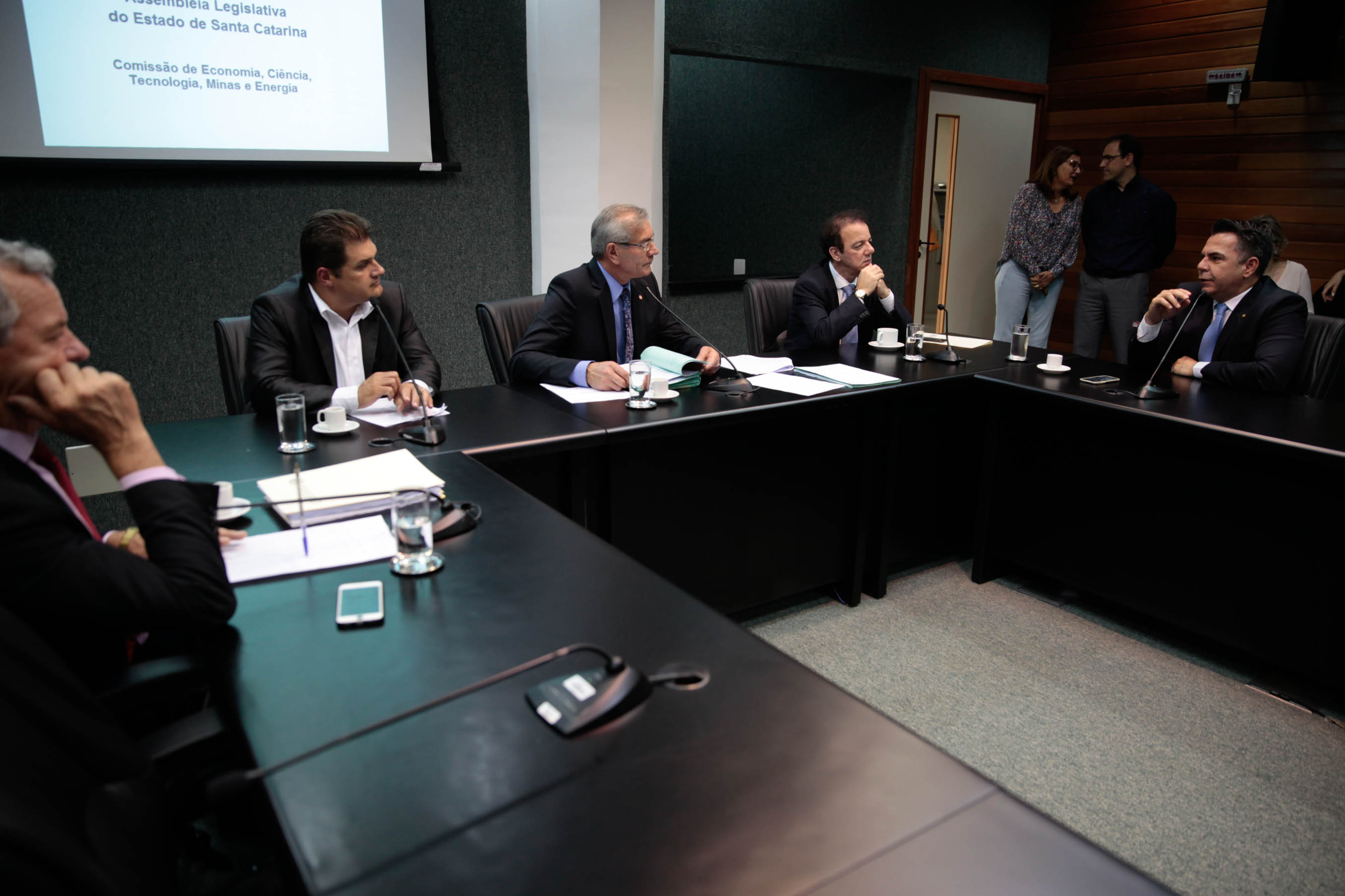 Reunião da Comissão de Economia, Ciência, Tecnologia, Minas e Energia.