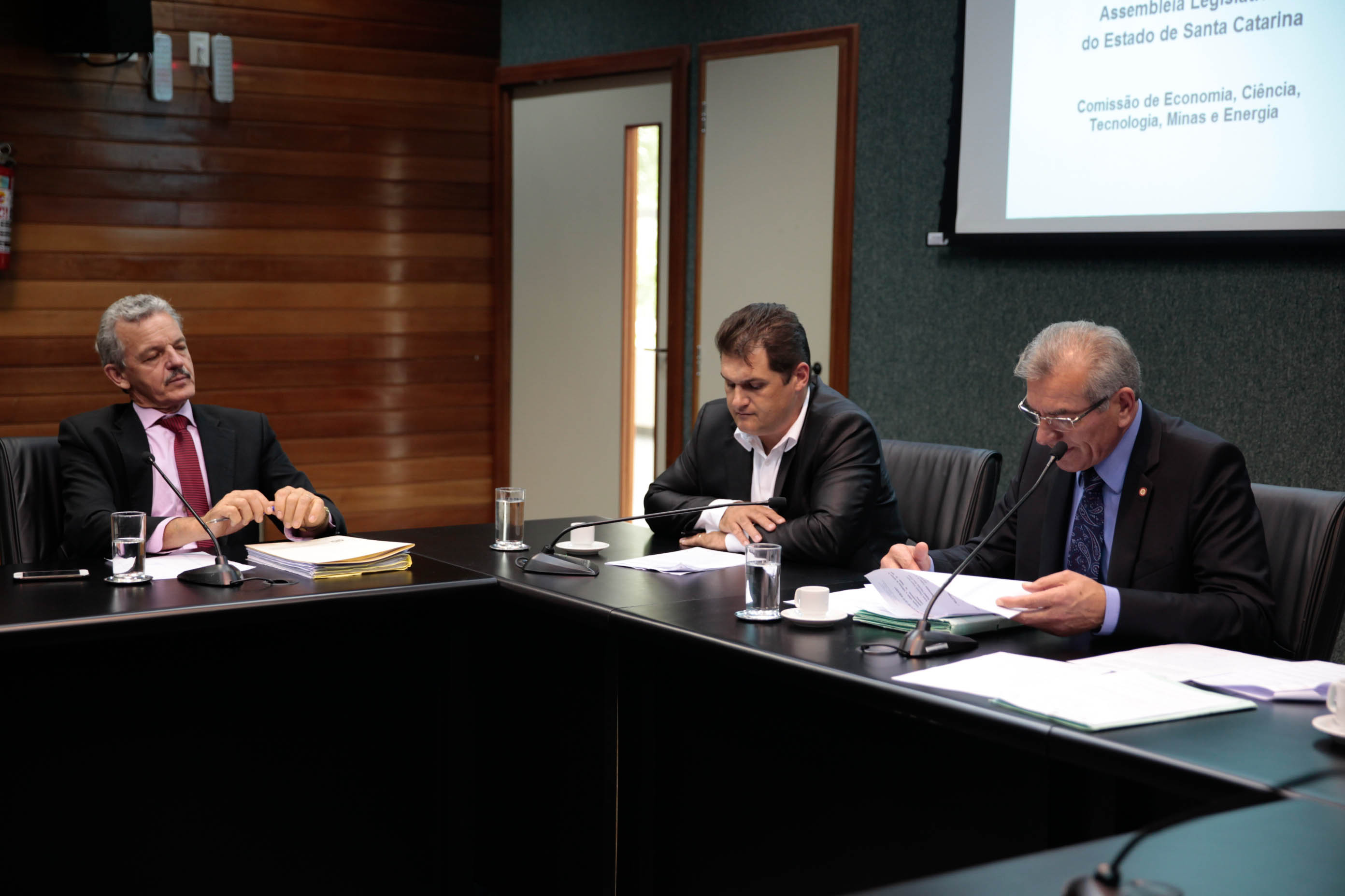Reunião da Comissão de Economia, Ciência, Tecnologia, Minas e Energia.