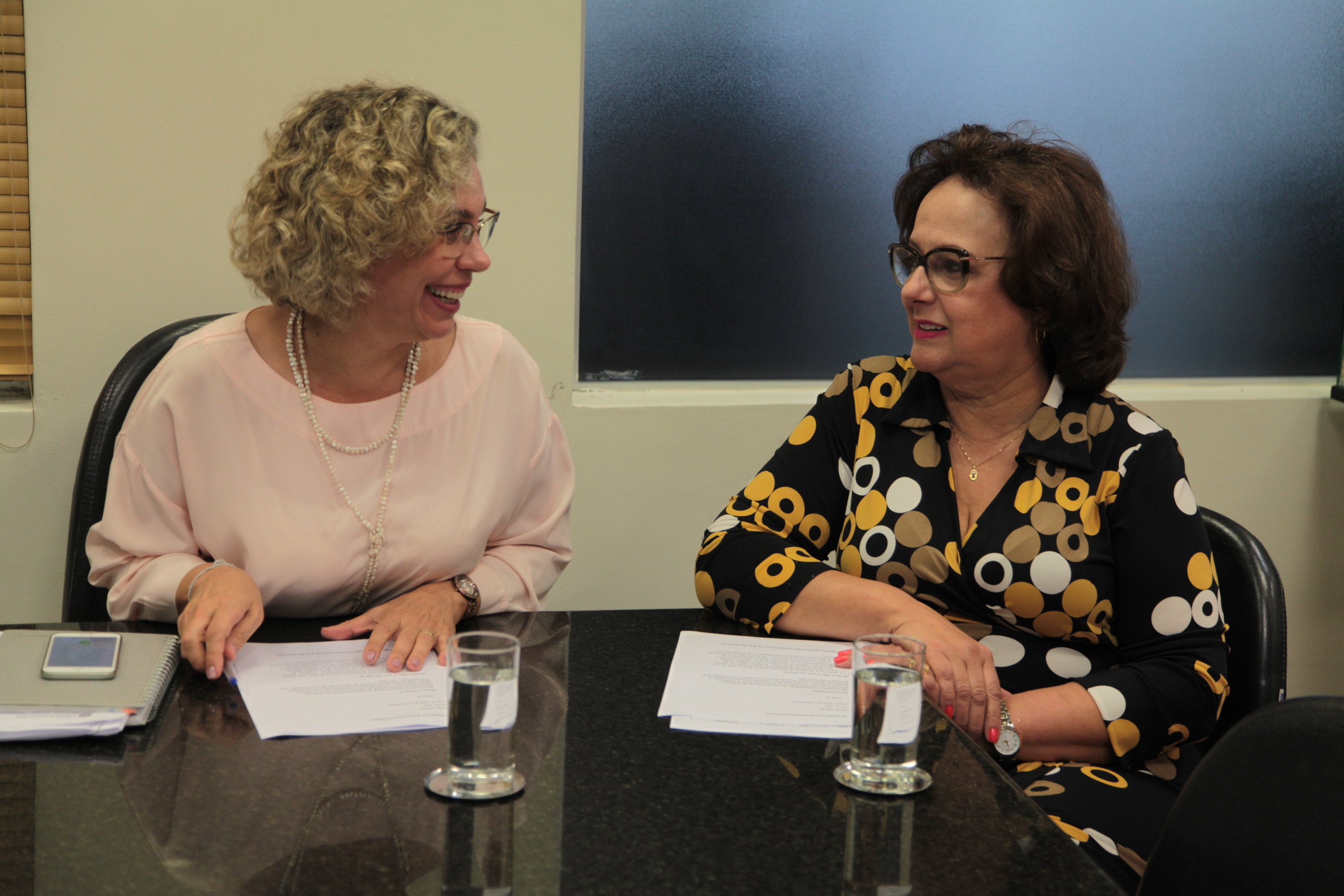 Reunião da Bancada Feminina