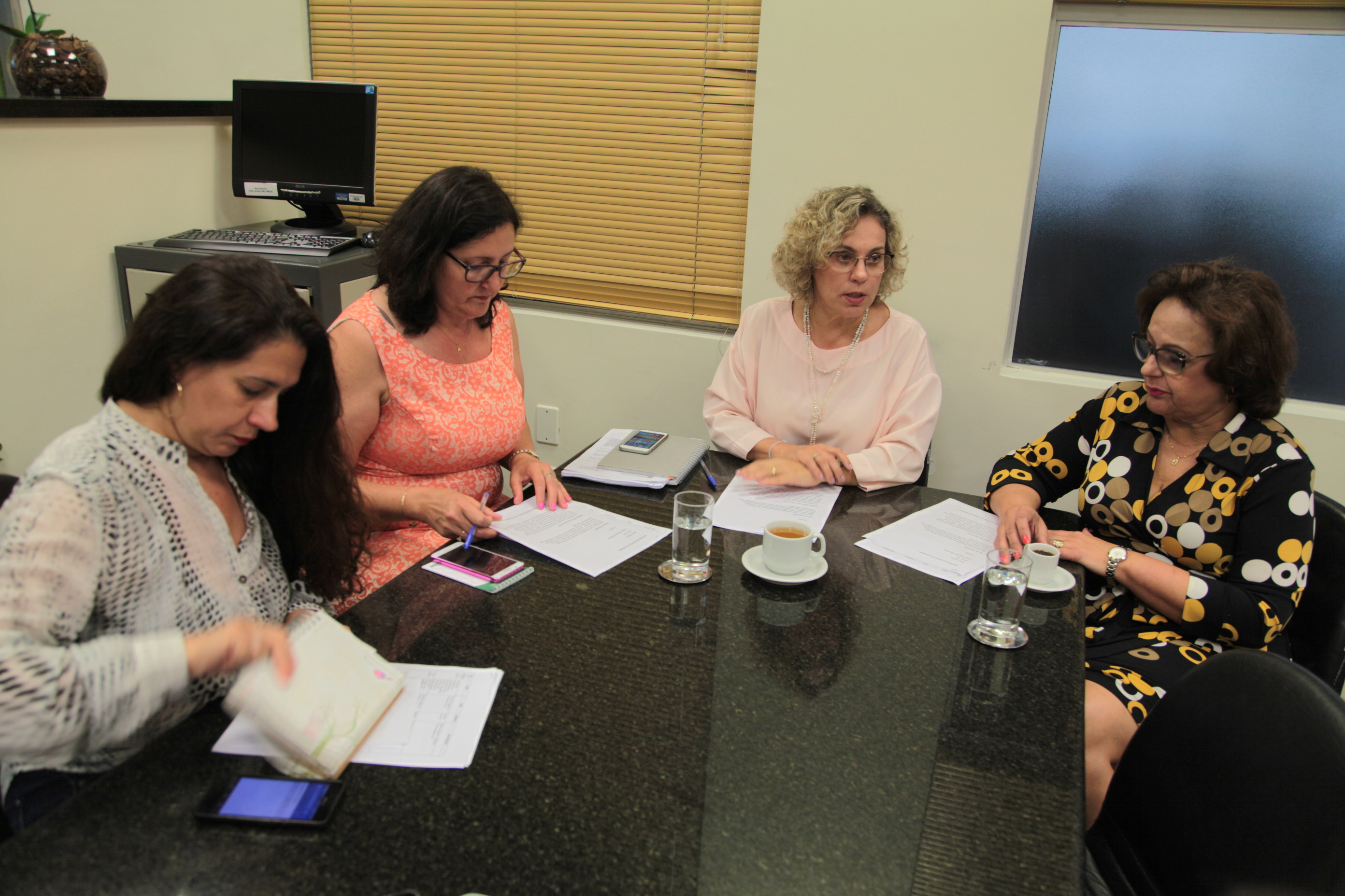 Reunião da Bancada Feminina