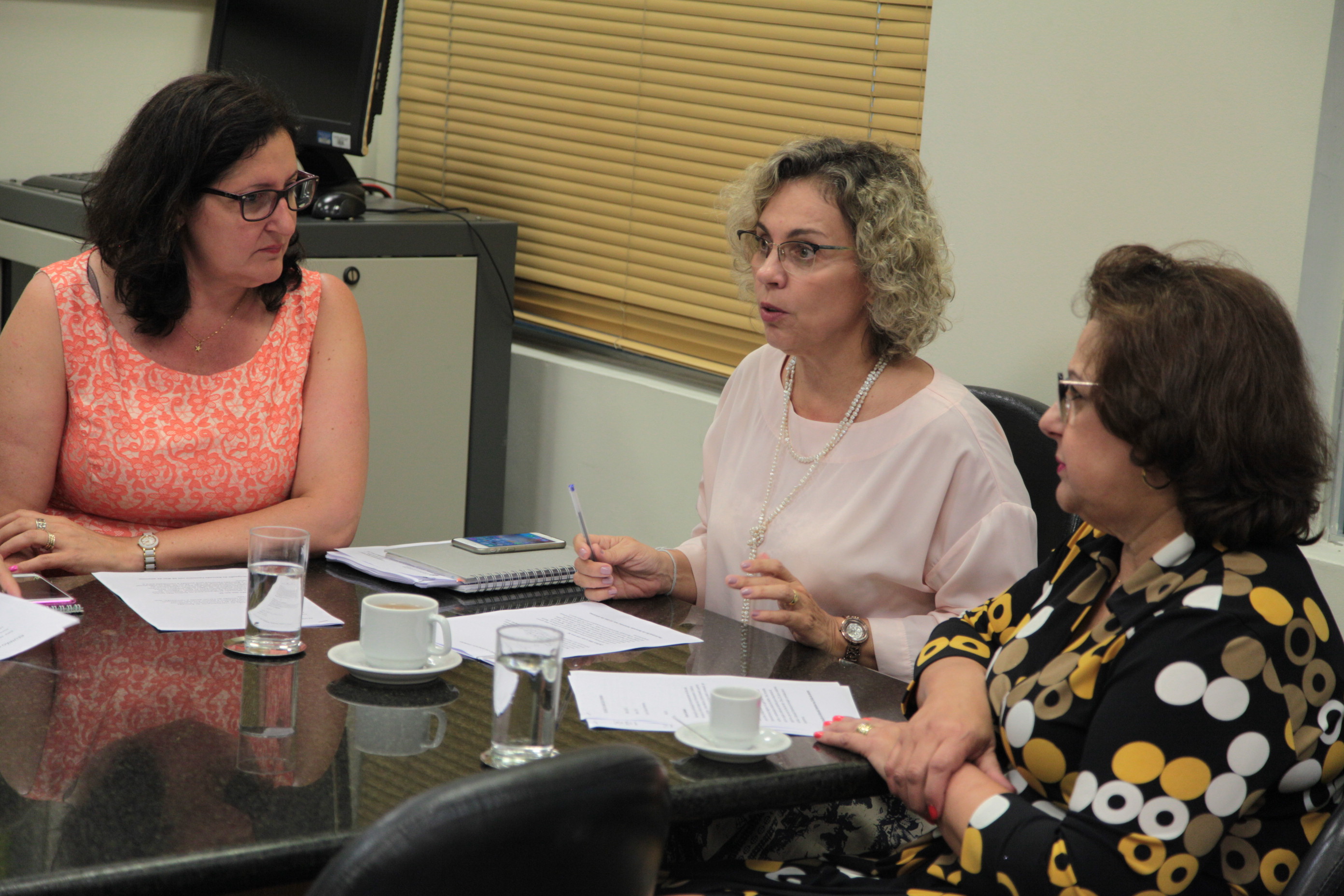 Reunião da Bancada Feminina