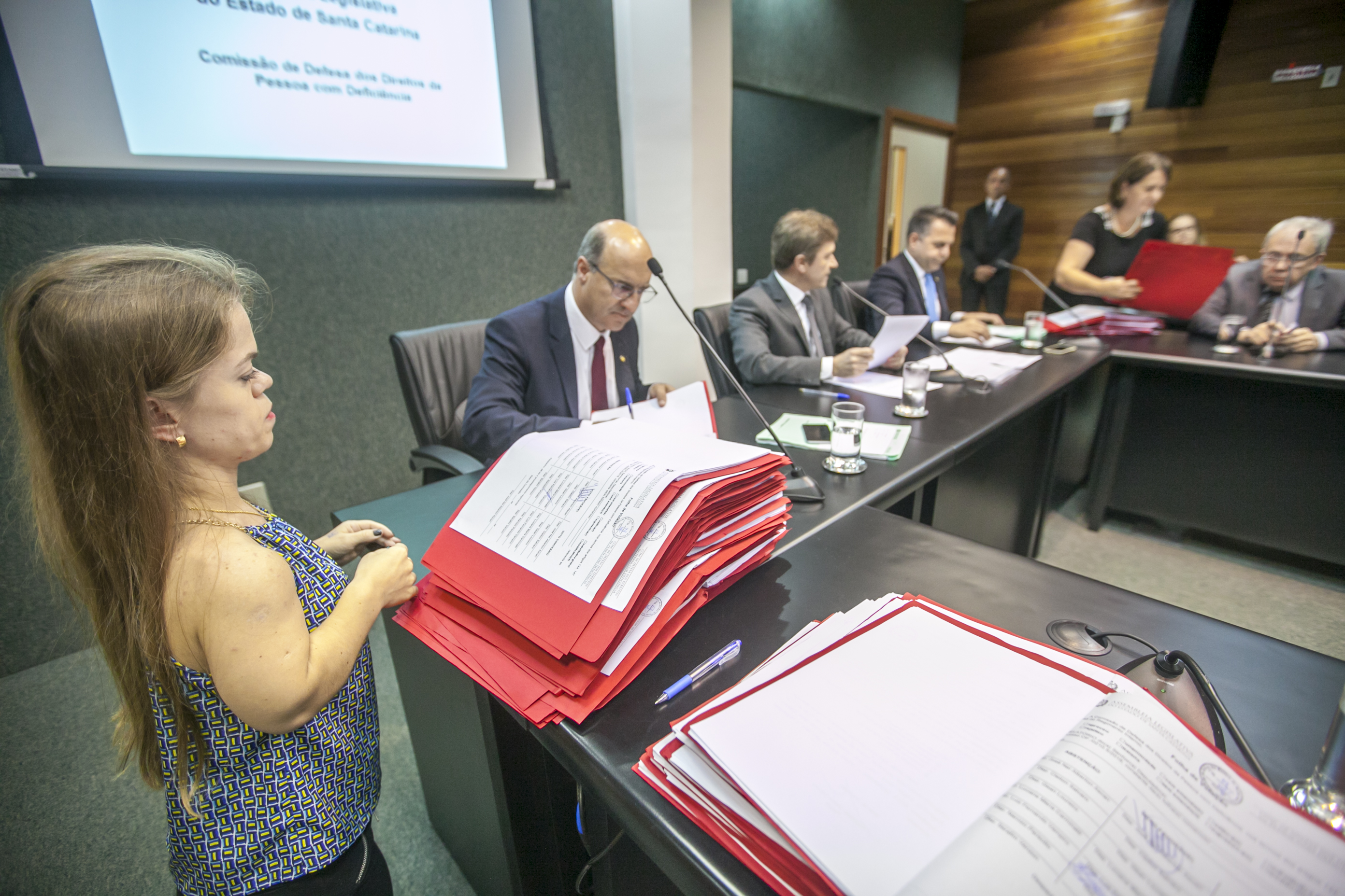 Comissão de Defesa dos Direitos da Pessoa com Deficiência