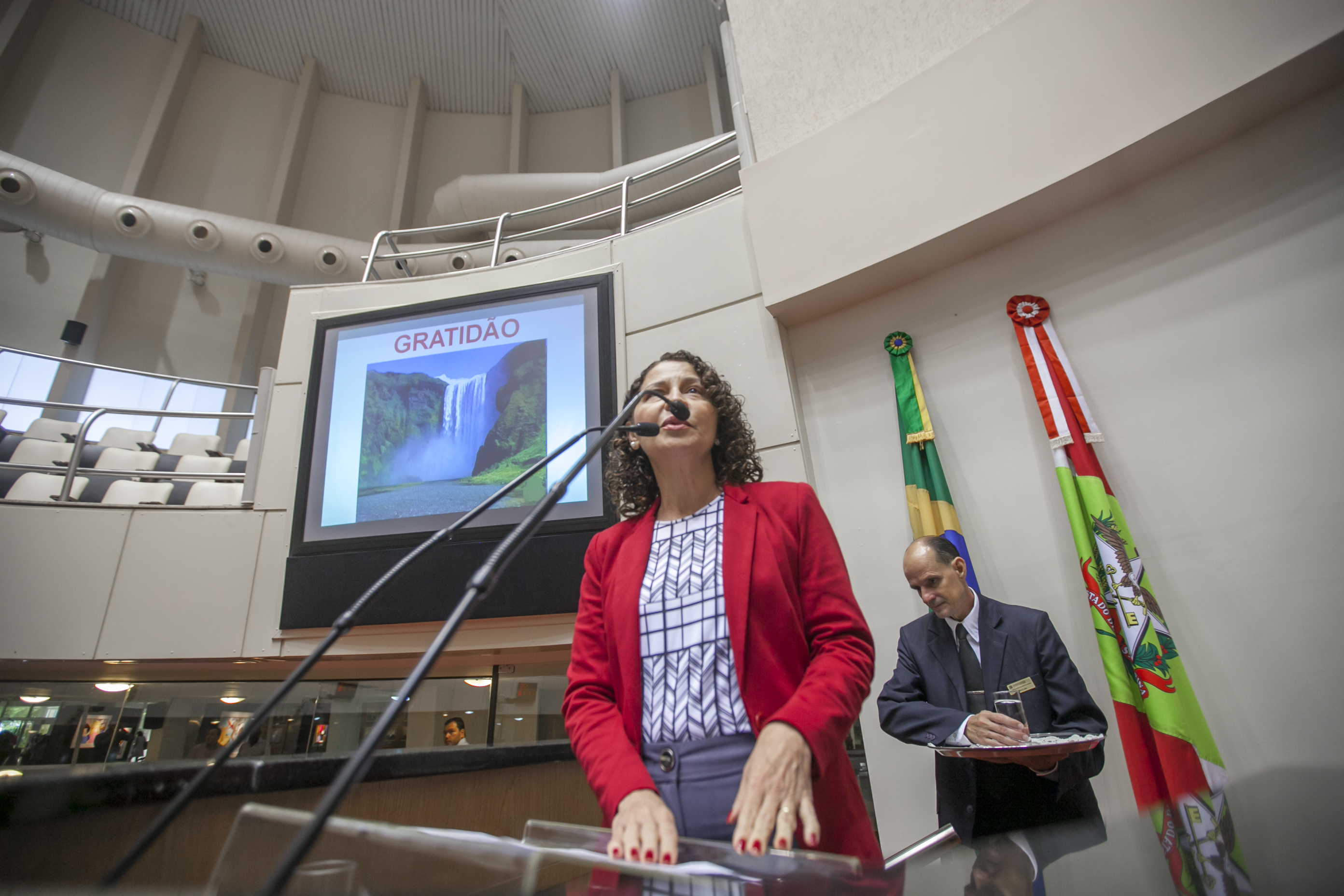 Jaira Freixiela Adamczyk, Presidente da Associação de Alcoólicos Anônimos do Brasil - Sessão Ordinária