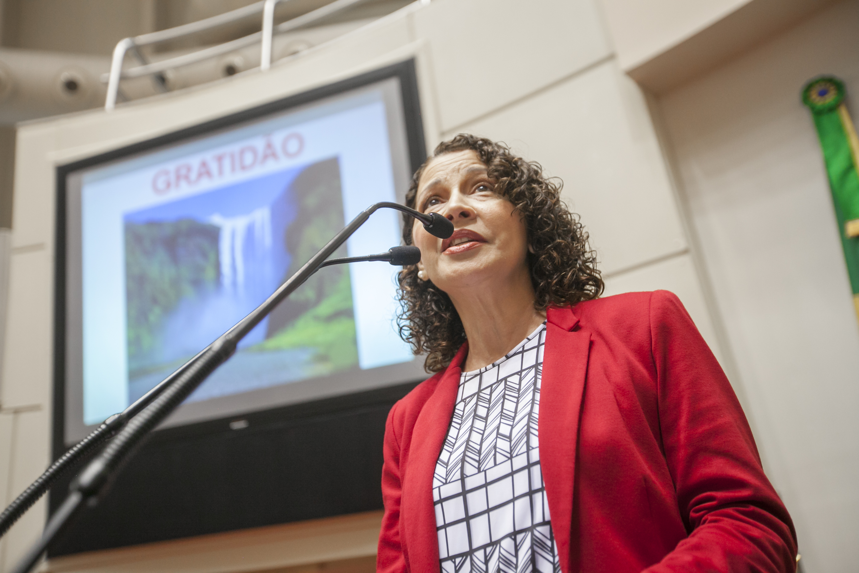 Jaira Freixiela Adamczyk, Presidente da Associação de Alcoólicos Anônimos do Brasil - Sessão Ordinária