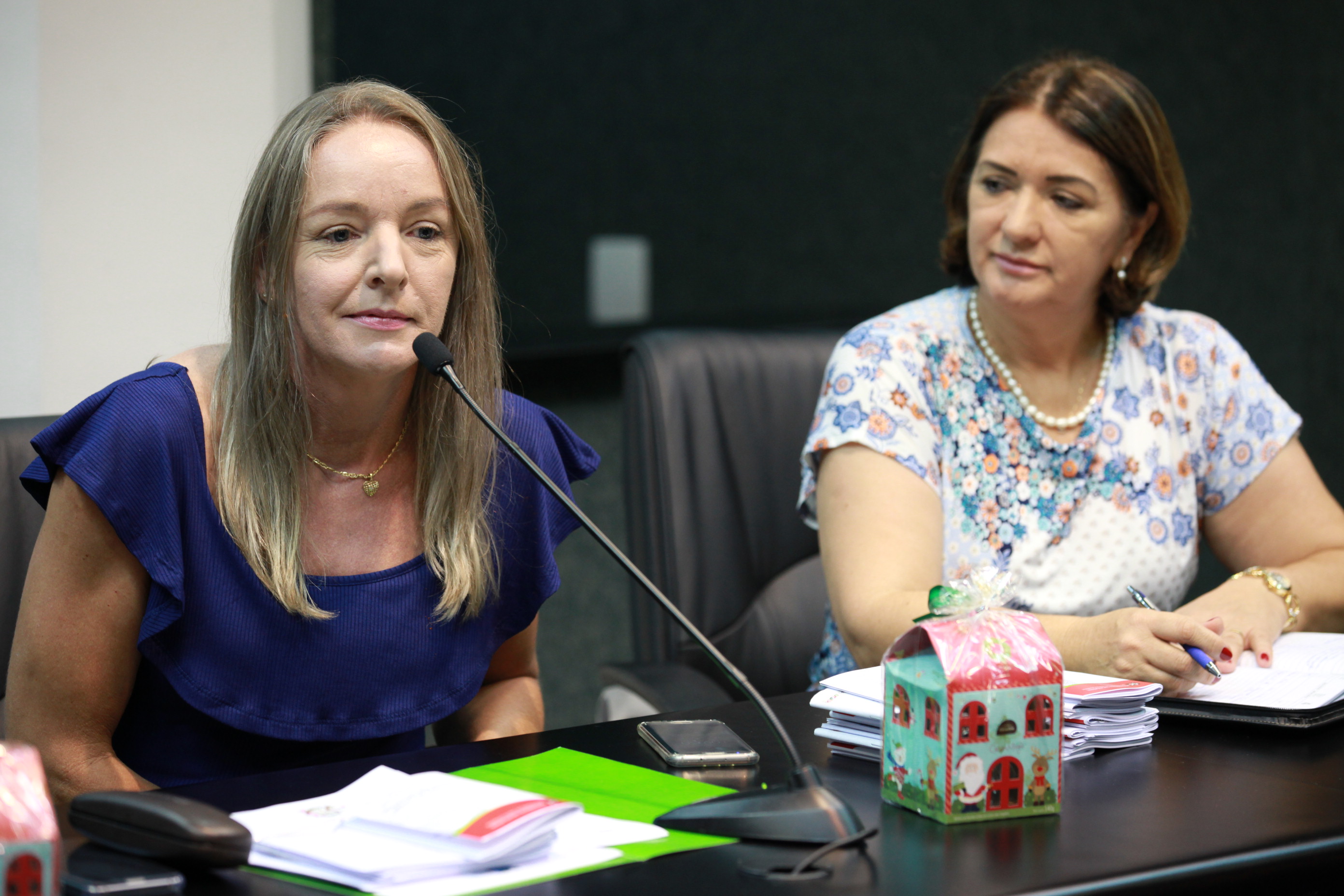 Reunião Com Associação Catarinense de Autismo.