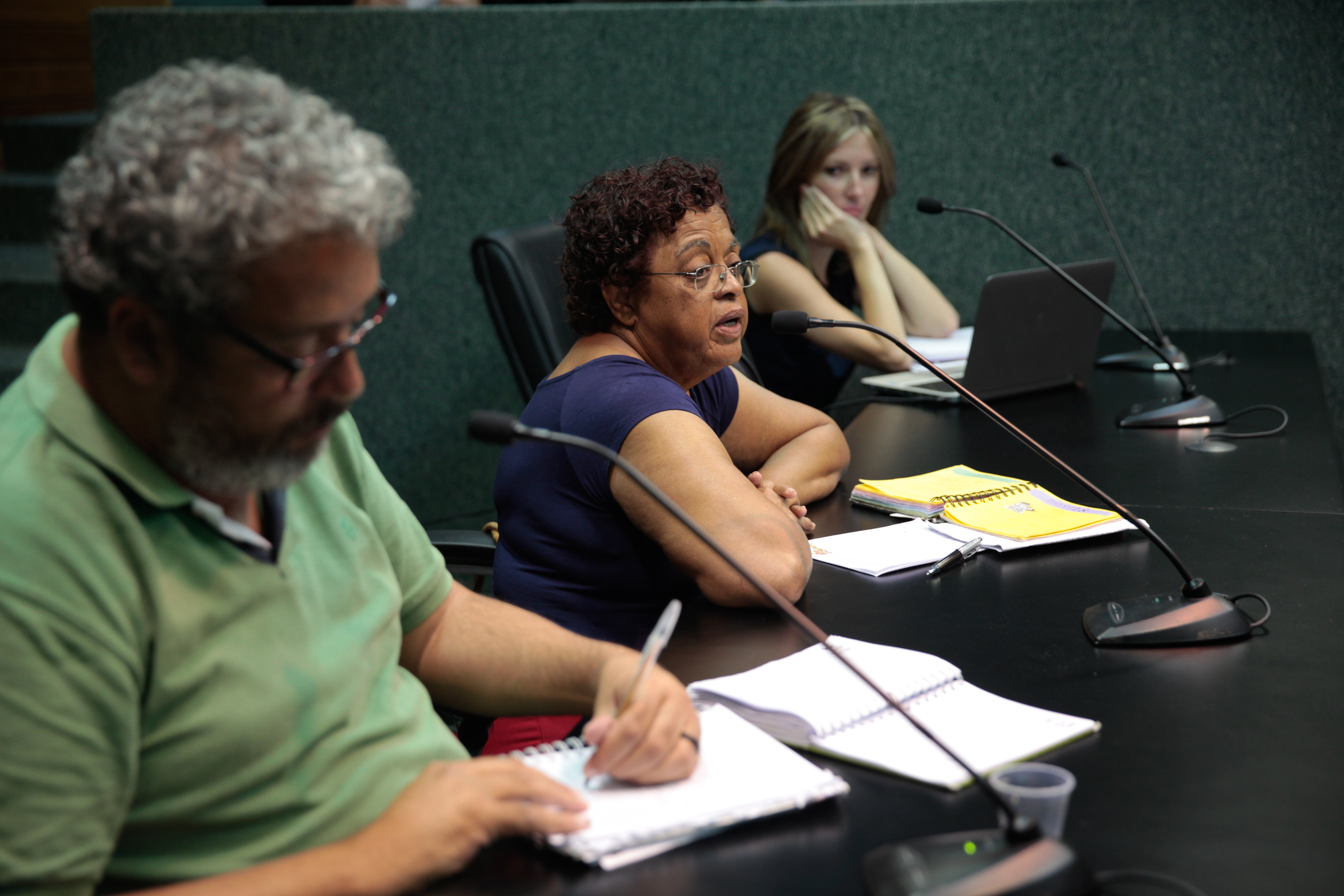 Reunião do Grupo de Trabalho do Imigrante da Comissão de Diretos Humanos.