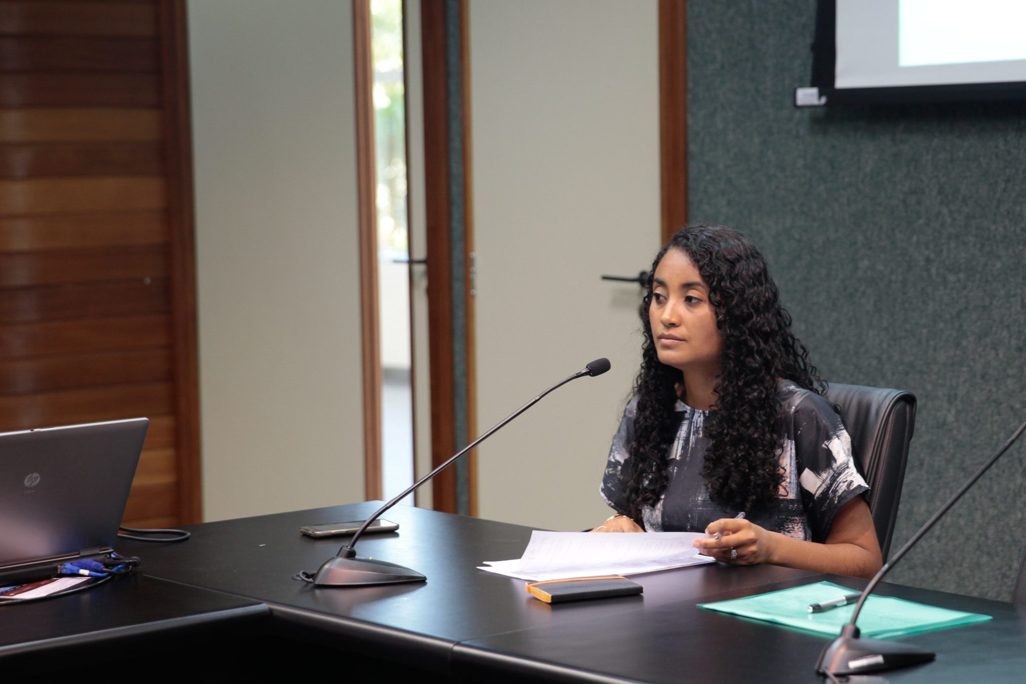 Reunião do Grupo de Trabalho do Imigrante da Comissão de Diretos Humanos.