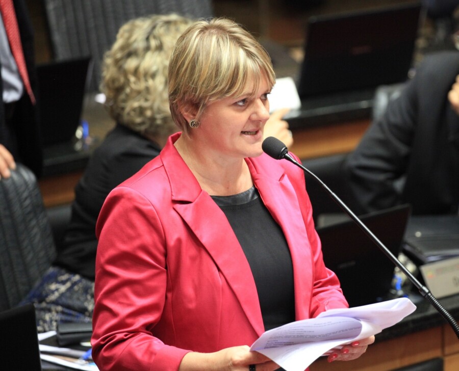 Deputada Luciane Carminatti
