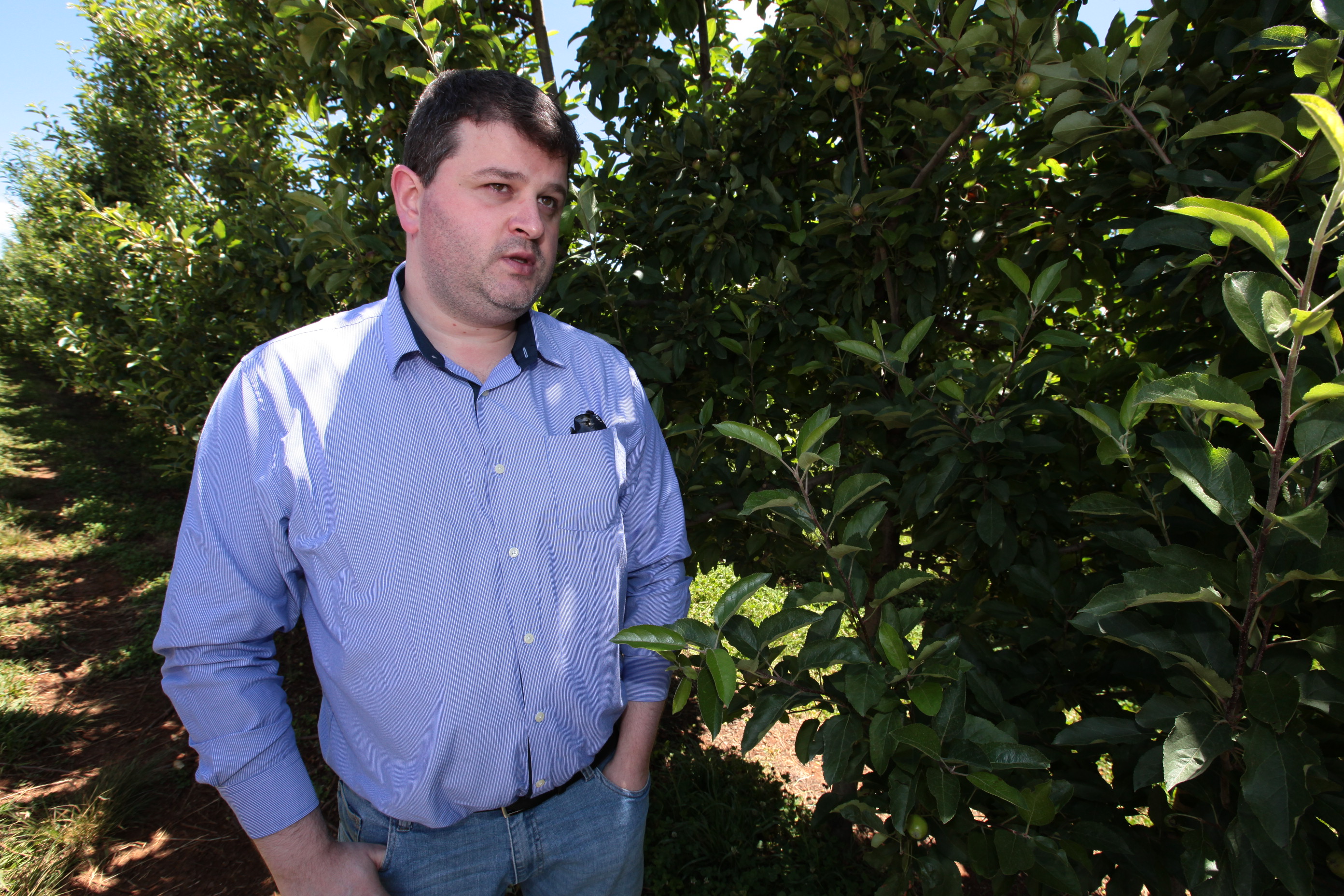 Especial Fruticultura - Fischer Agroindústria - Fraiburgo