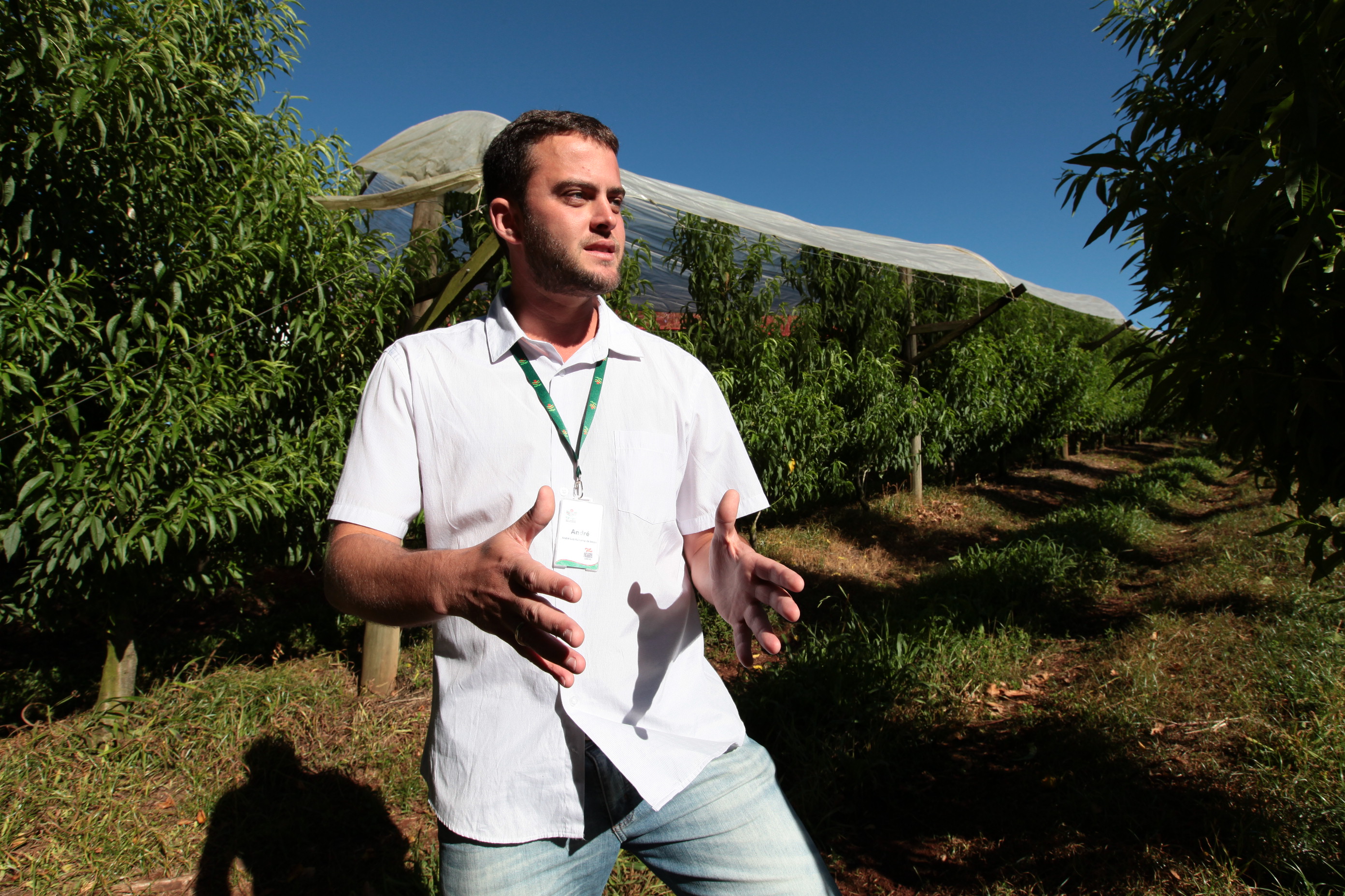 Especial Fruticultura - EPAGRI - Videira