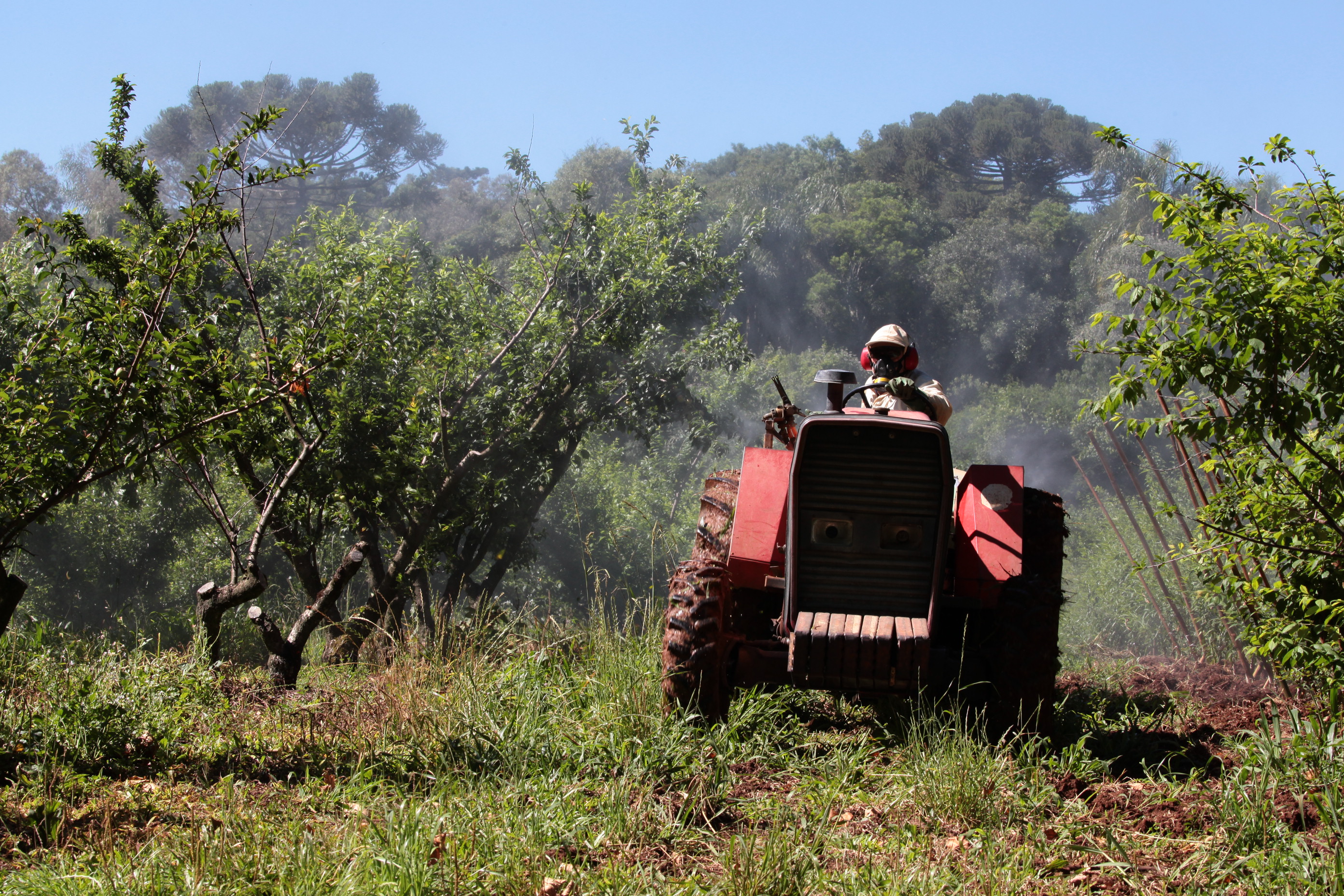Especial Fruticultura - EPAGRI - Videira