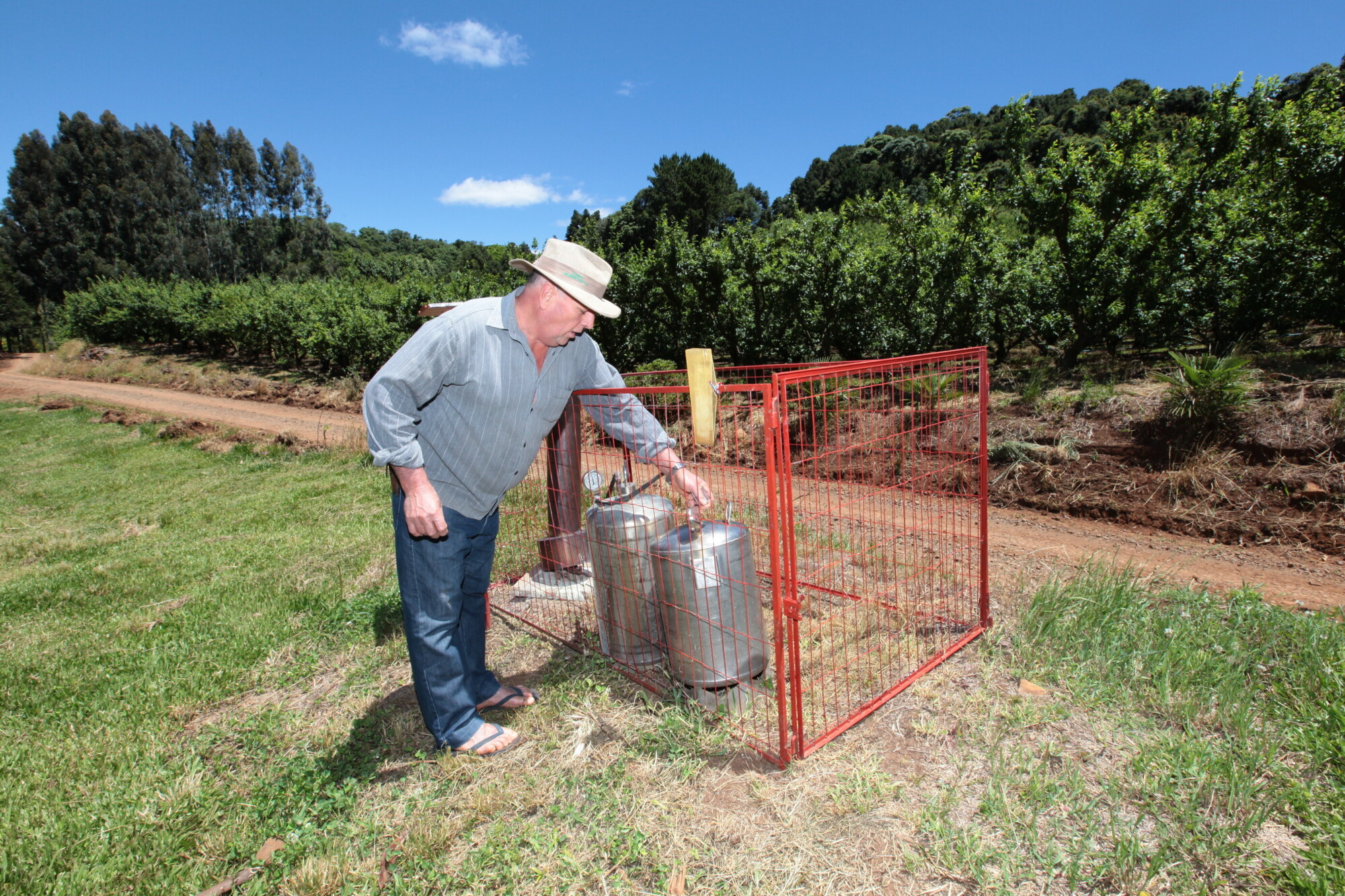 José Miozzo, agricultor de Rio das Antas
