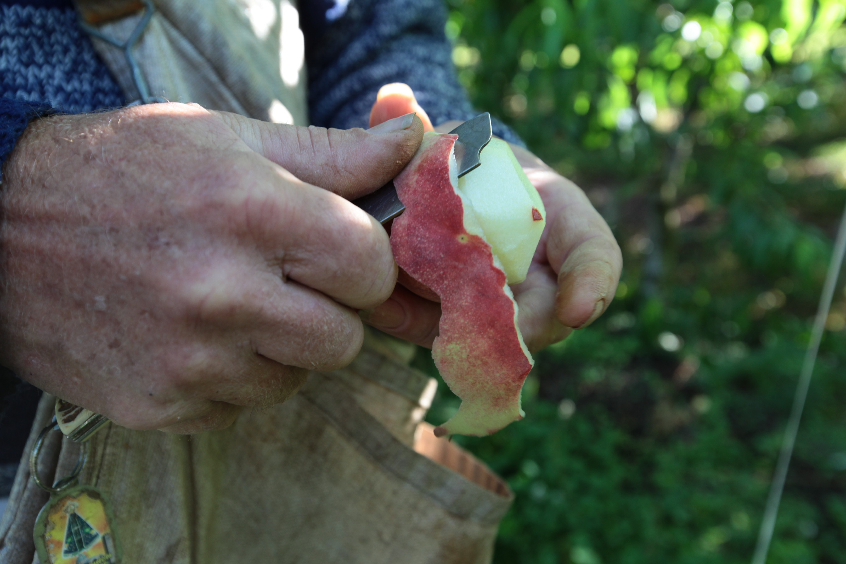 Especial Fruticultura - EPAGRI - Videira