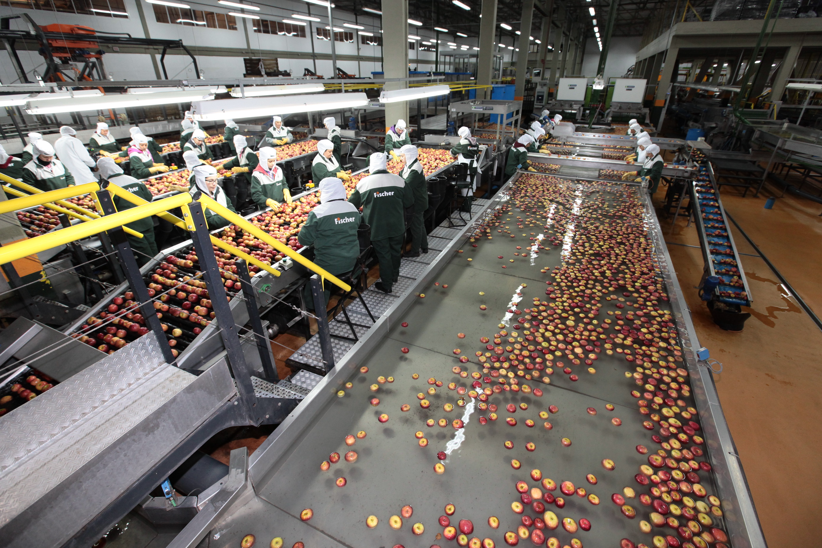 Especial Fruticultura - Fischer Agroindústria - Fraiburgo