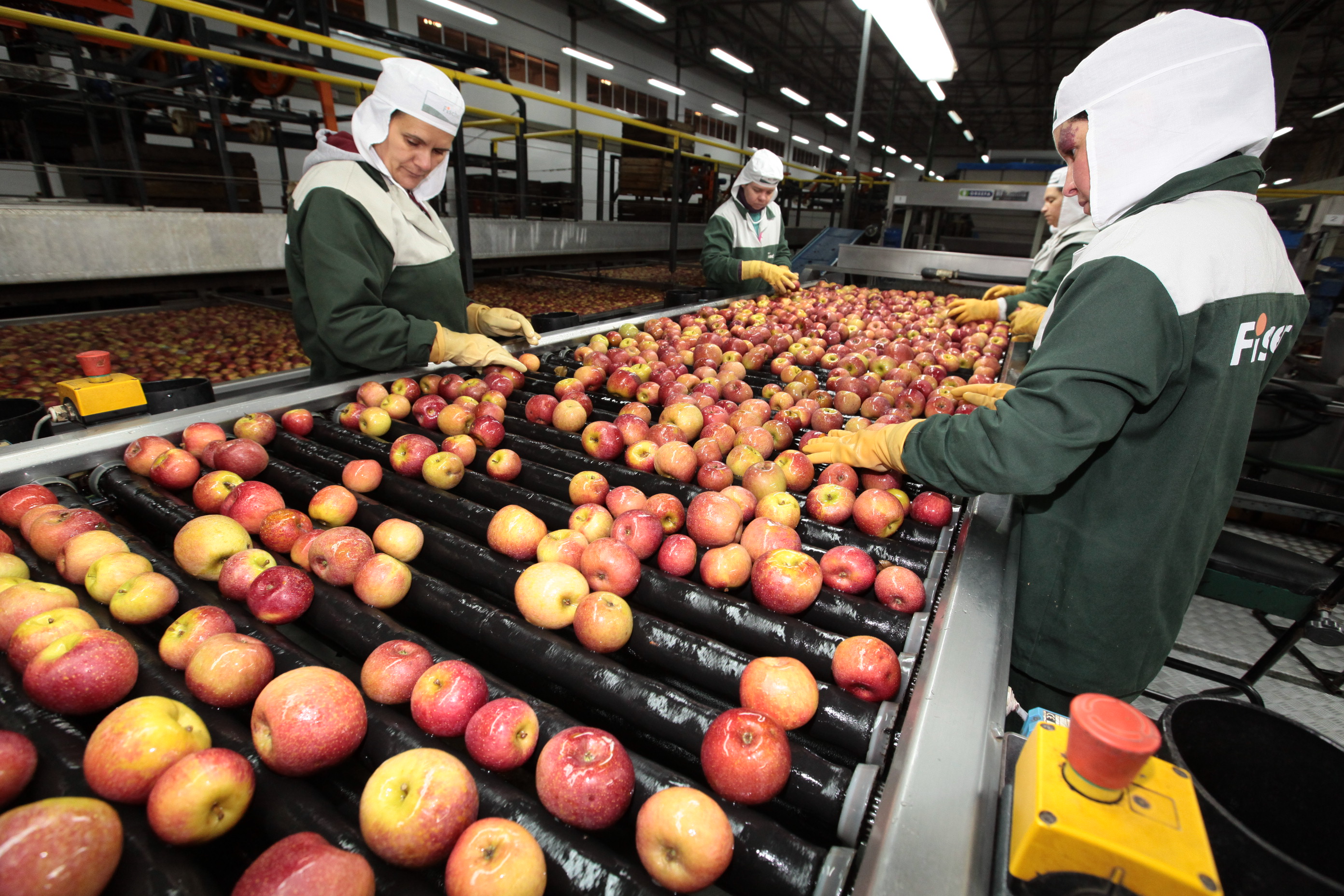 Especial Fruticultura - Fischer Agroindústria - Fraiburgo