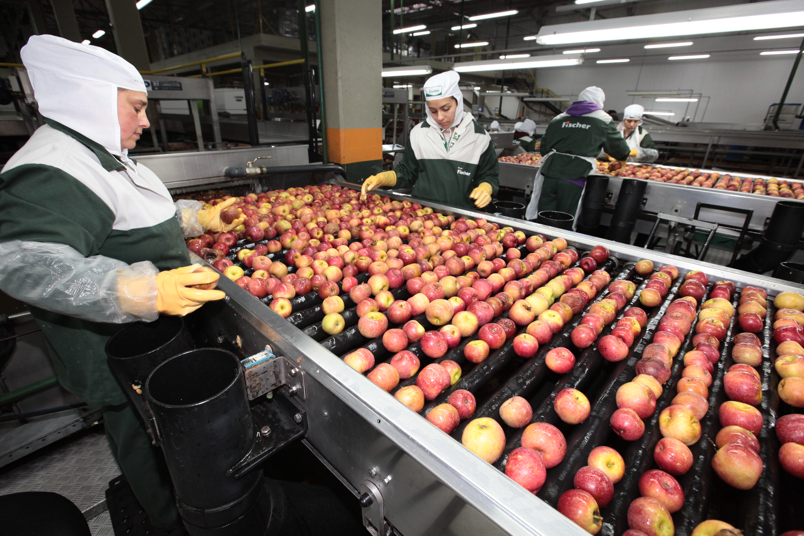 Especial Fruticultura - Fischer Agroindústria - Fraiburgo