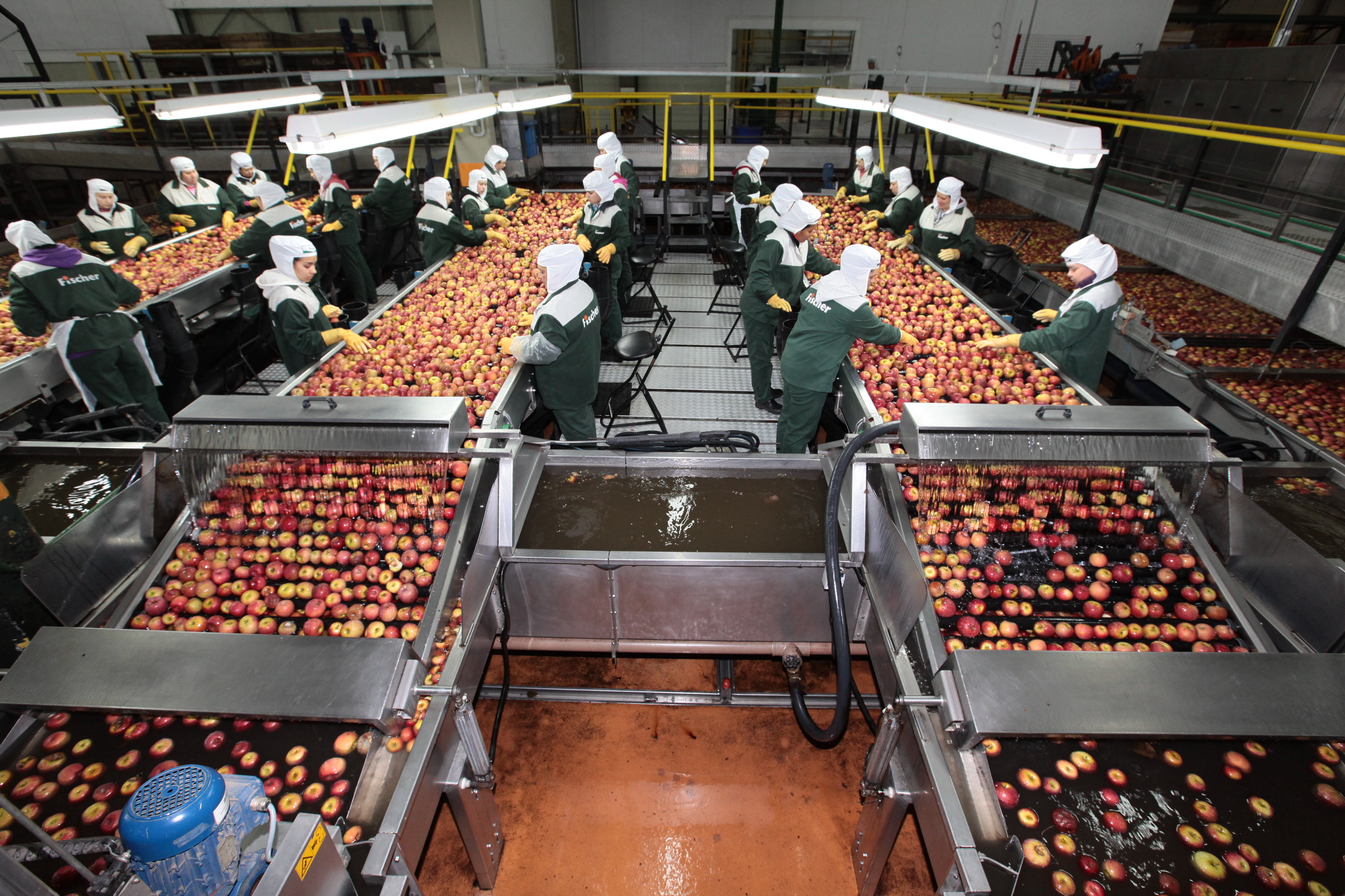 Especial Fruticultura - Fischer Agroindústria - Fraiburgo