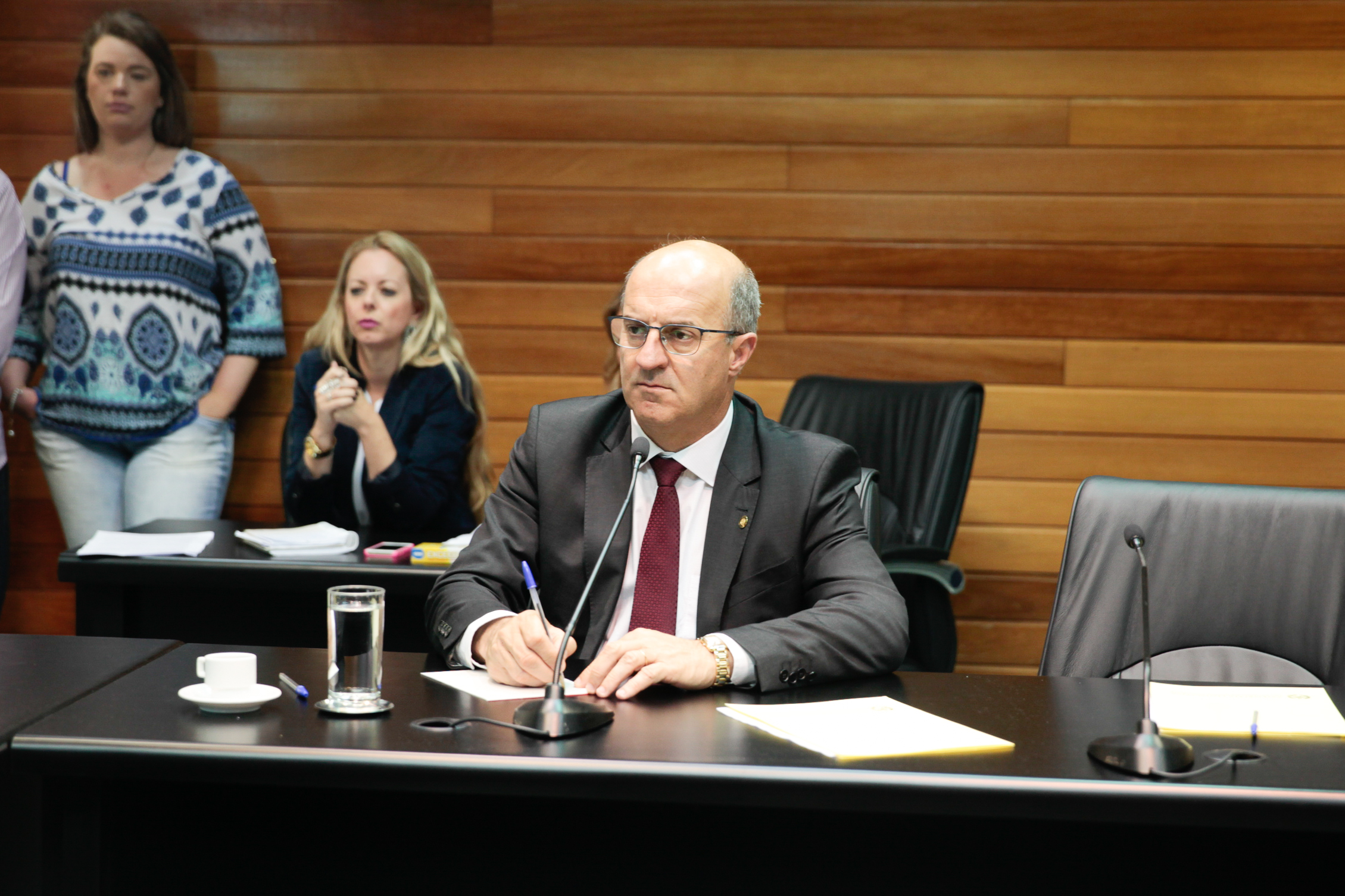 Comissão de Agricultura e Política Rural. Deputado Milton Scheffer (PP).