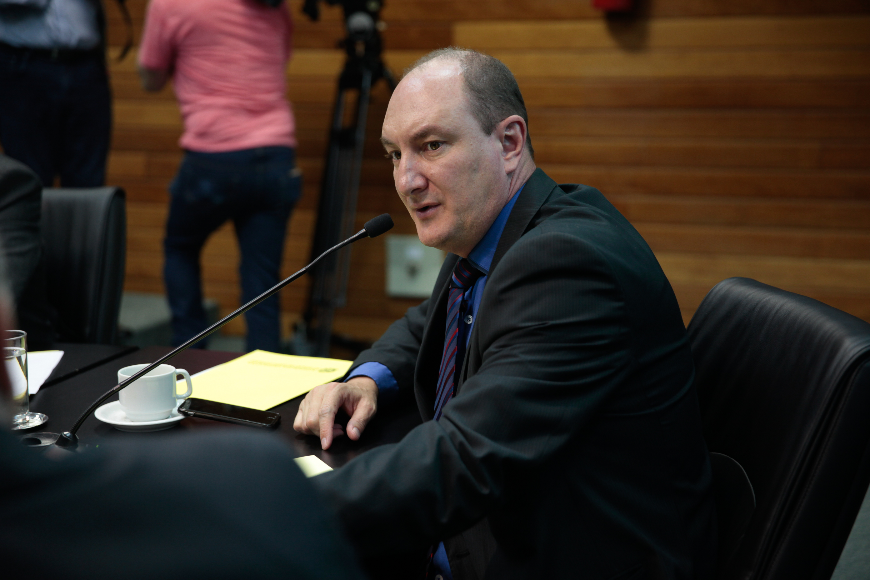 Comissão de Agricultura e Política Rural. Deputado Mauro de Nadal (PMDB).