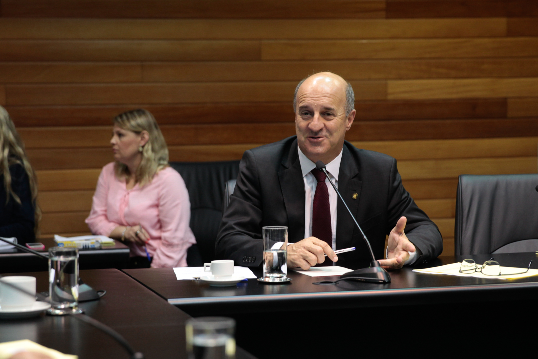 Comissão de Agricultura e Política Rural. Deputado Milton Scheffer (PP).