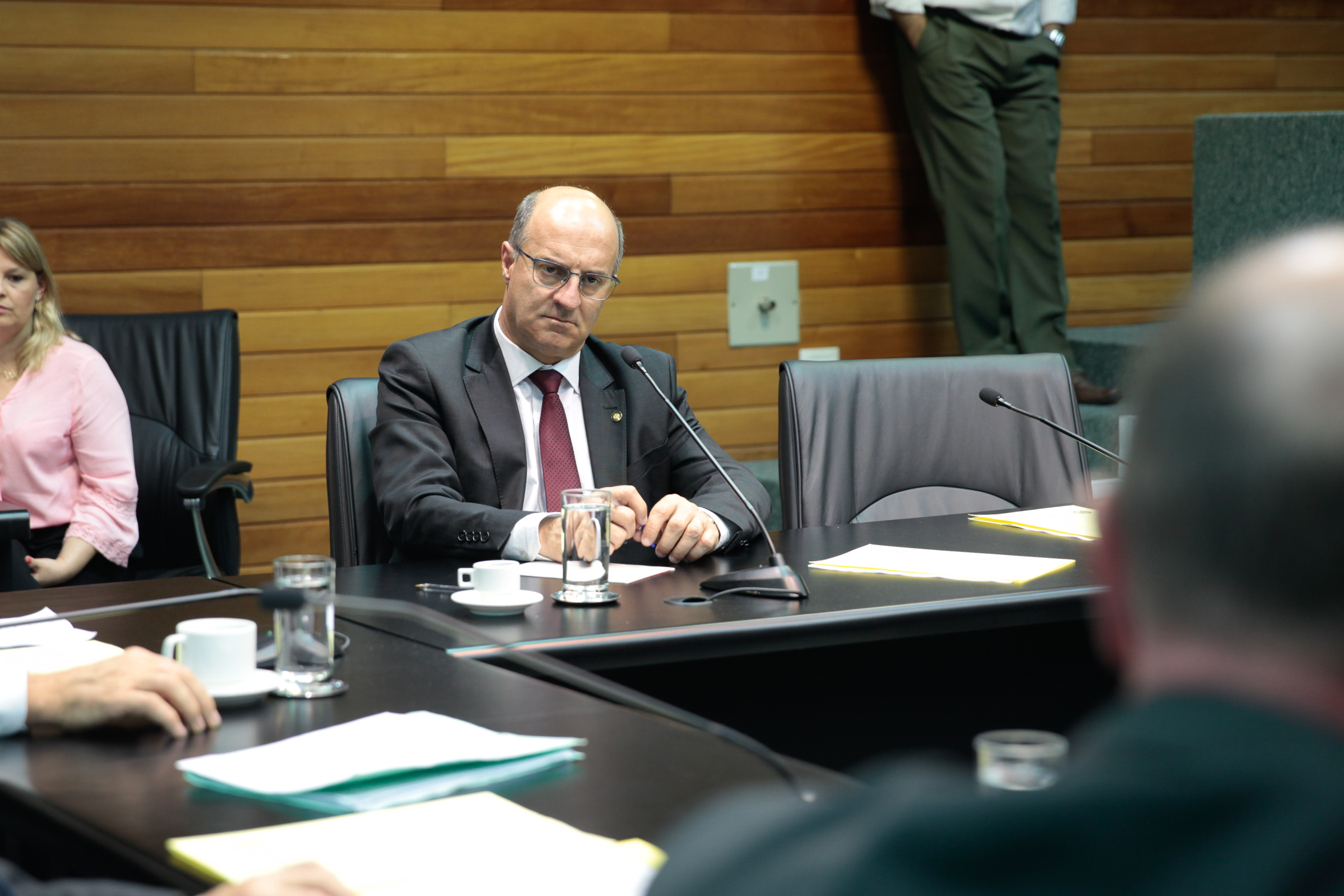Comissão de Agricultura e Política Rural. Deputado Milton Scheffer (PP).