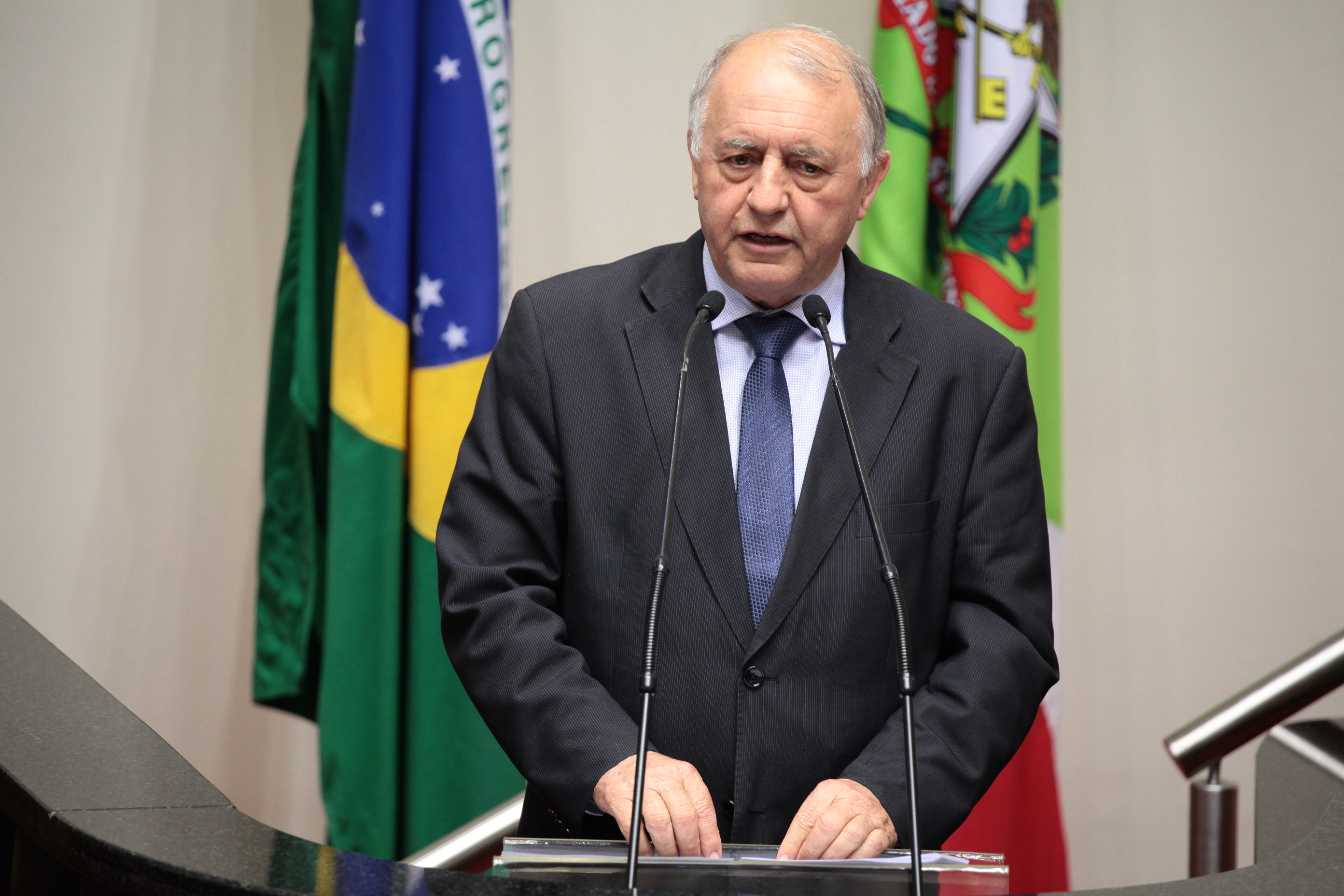 Sessão Ordinária. Deputado Natalino Lázare (PR)