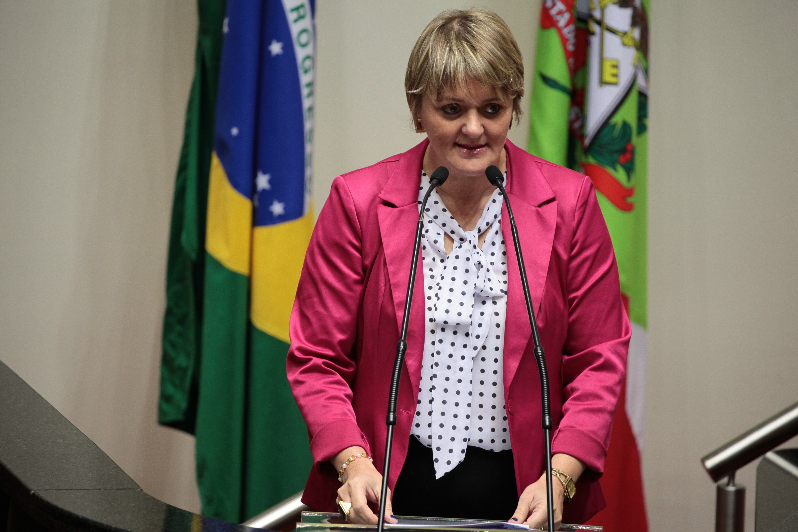 Sessão Ordinária. Deputada Luciane Carminatti (PT).